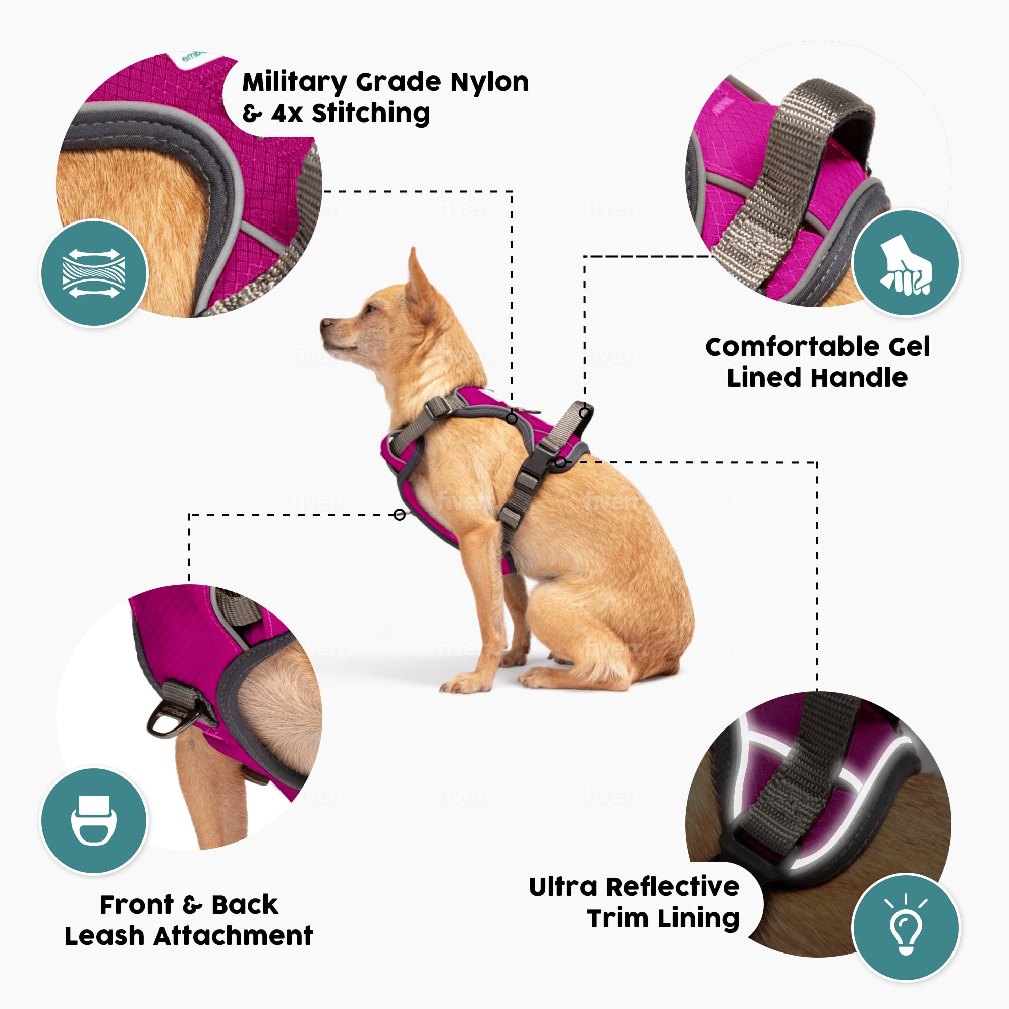 Embark Pets anneaux d'attache avant et arrière pour contrôle