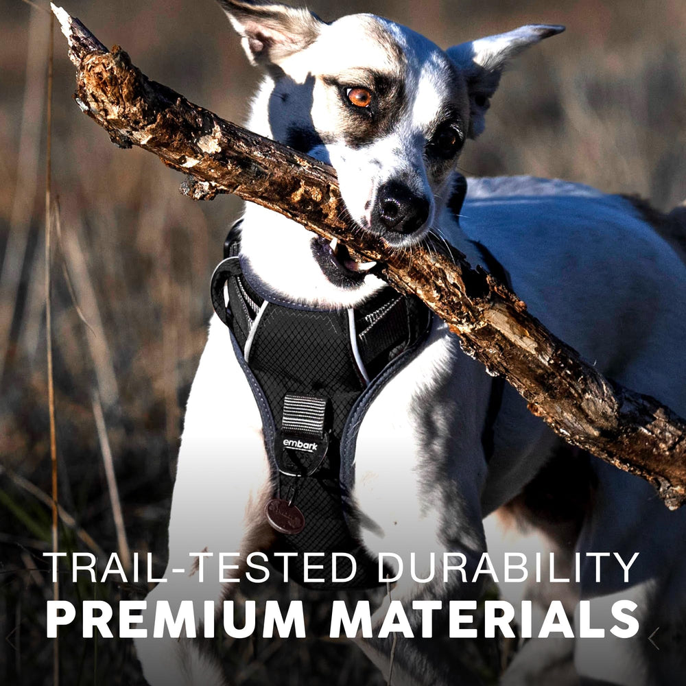 Embark Pets attache arrière pour promenades détendues et stables