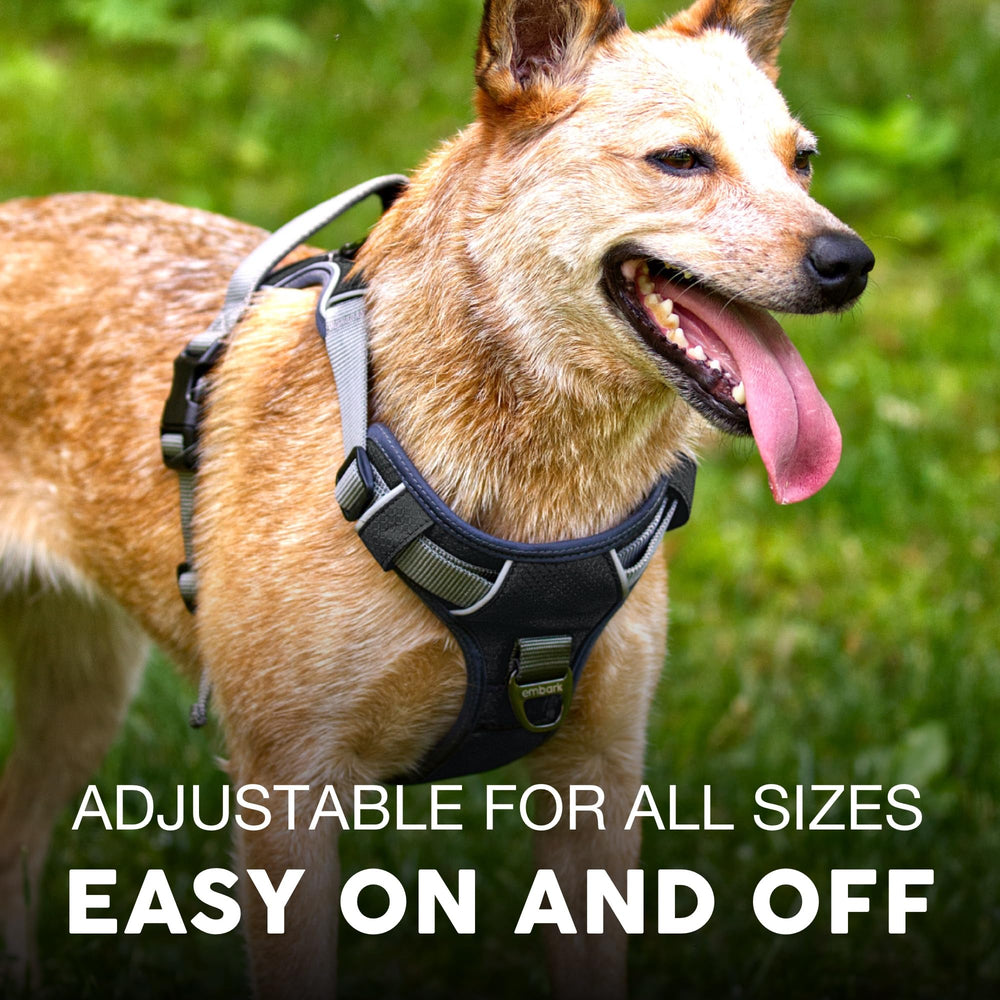 Embark Pets attache avant pour réduire les tirages efficacement