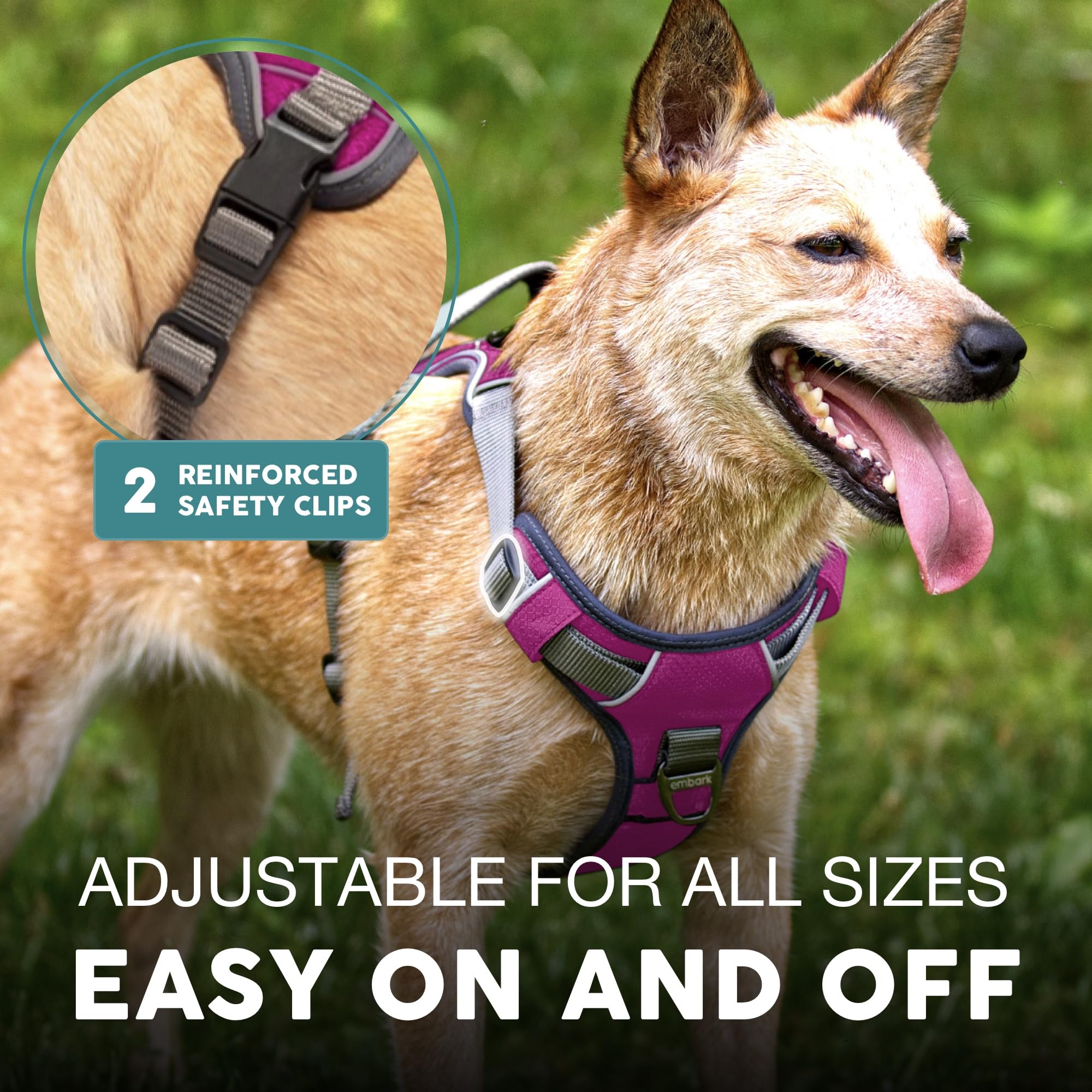 Embark Pets bandes réfléchissantes visibles nuit pour sécurité