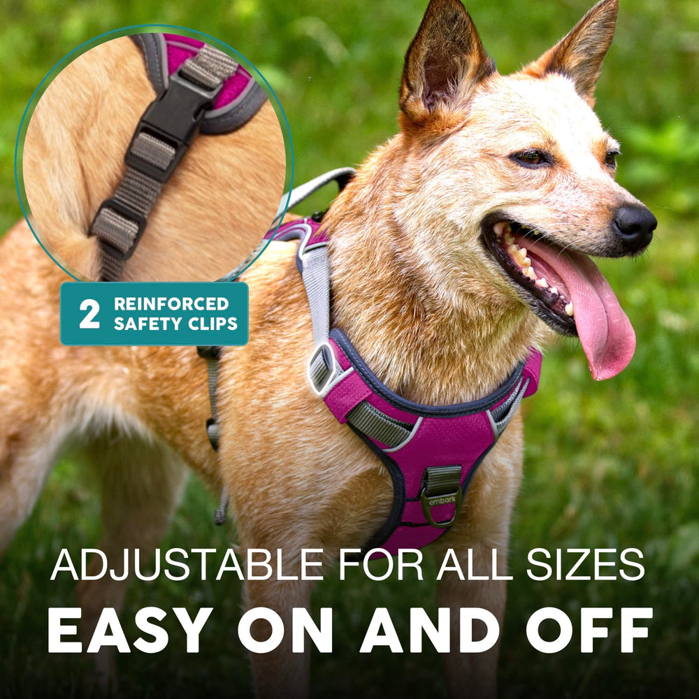 Embark Pets bandes réfléchissantes visibles nuit pour sécurité