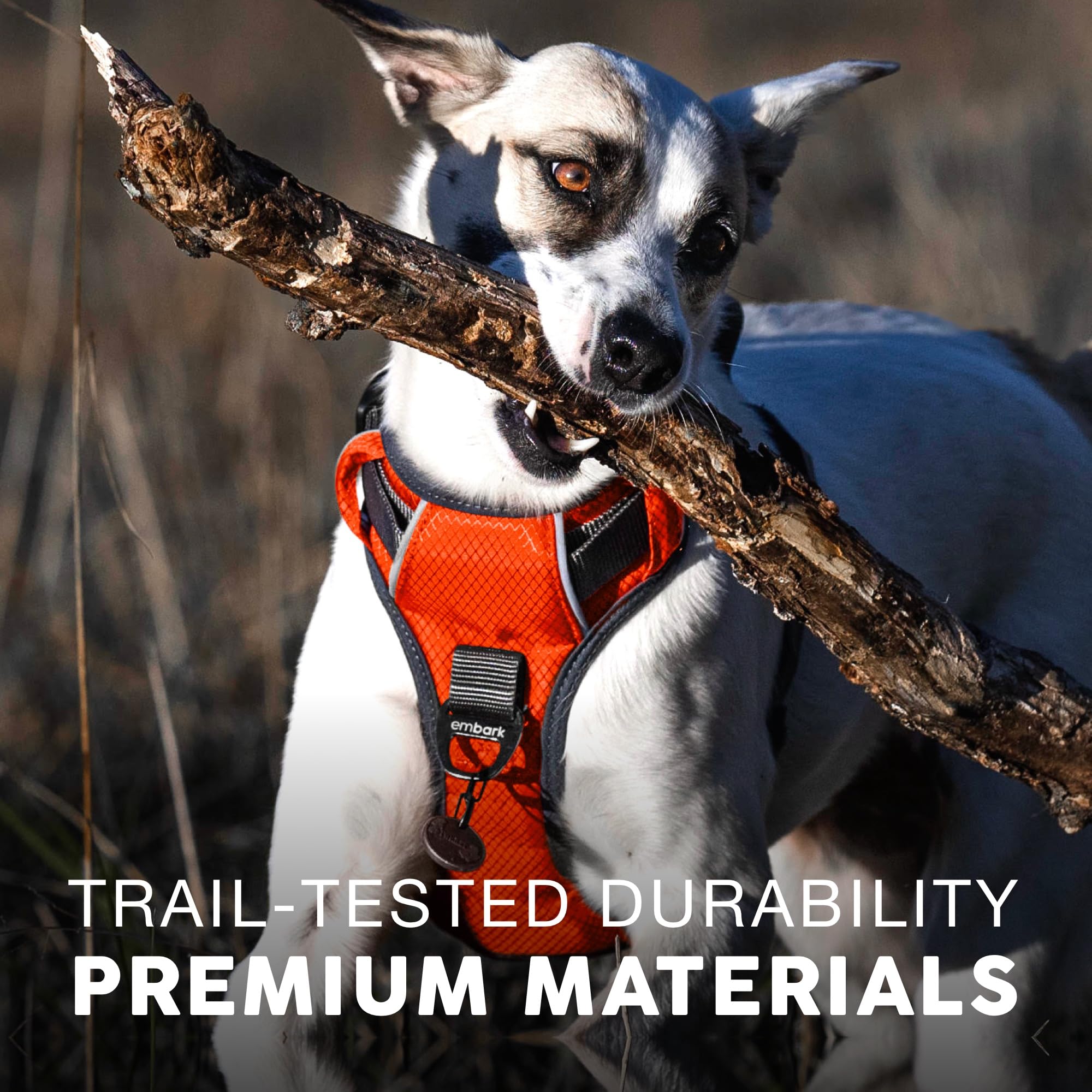 Embark Pets harnais bandes réfléchissantes pour visibilité nocturne