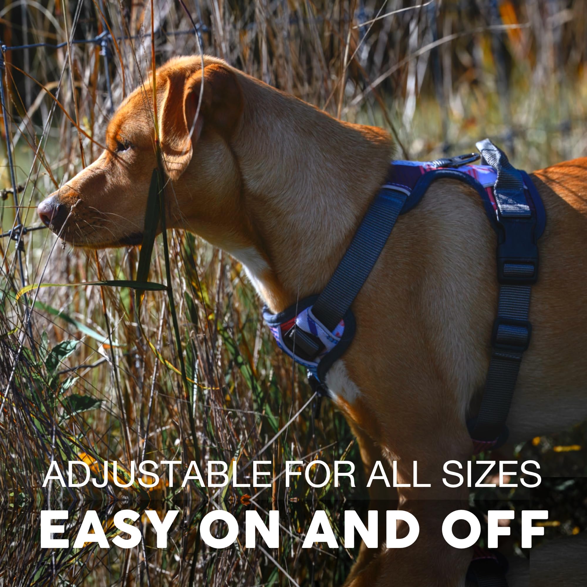 Embark Pets clip frontal pour entraînement anti-traction et redirection efficace