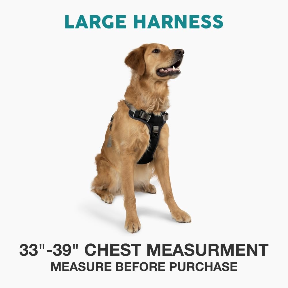 Embark Pets détail bande réfléchissante pour meilleure visibilité