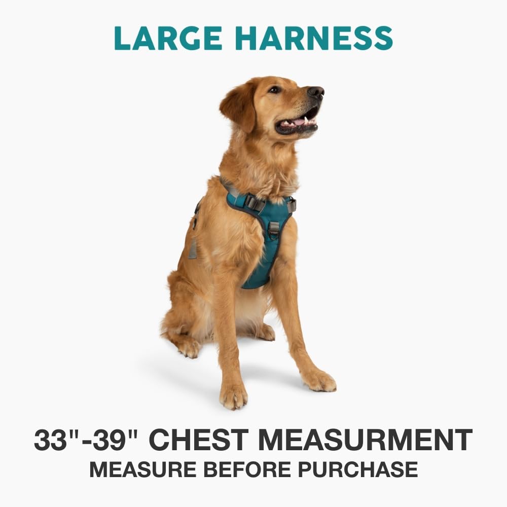 Embark harnais bandes réfléchissantes pour sécurité nocturne accrue