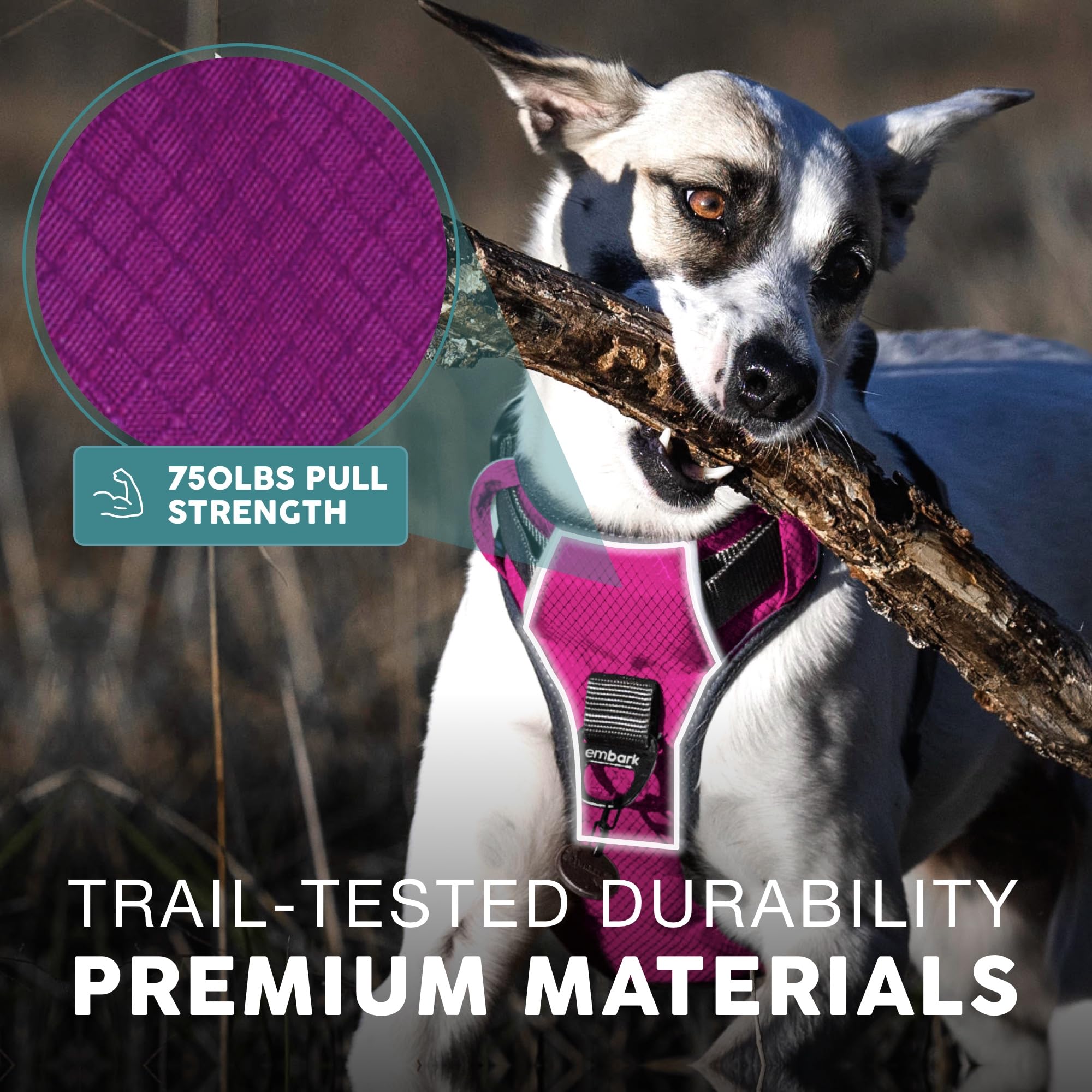 Embark Pets tissu Oxford durable résistant à l'usure