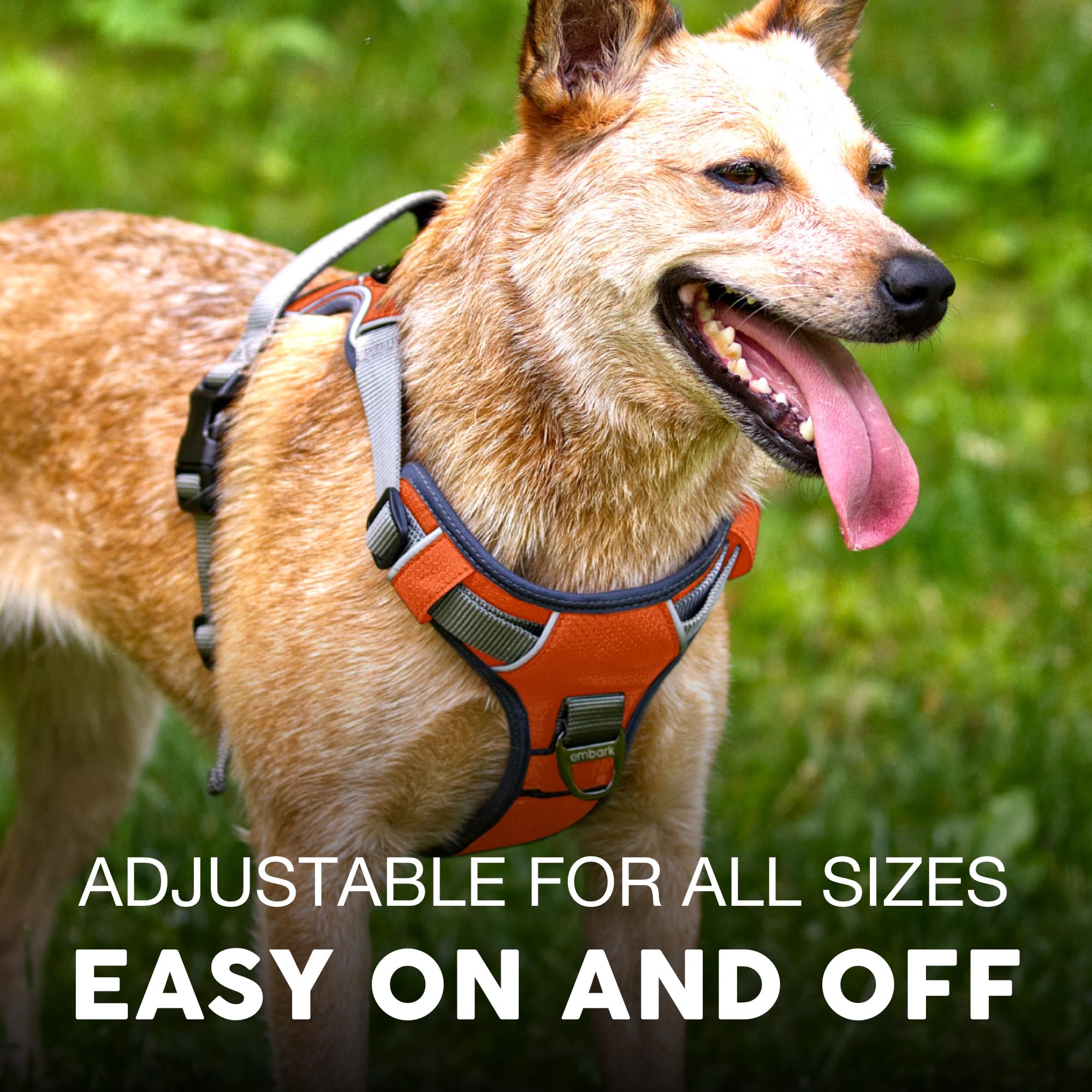 Embark Pets harnais poignée gel pour contrôle sûr et confortable