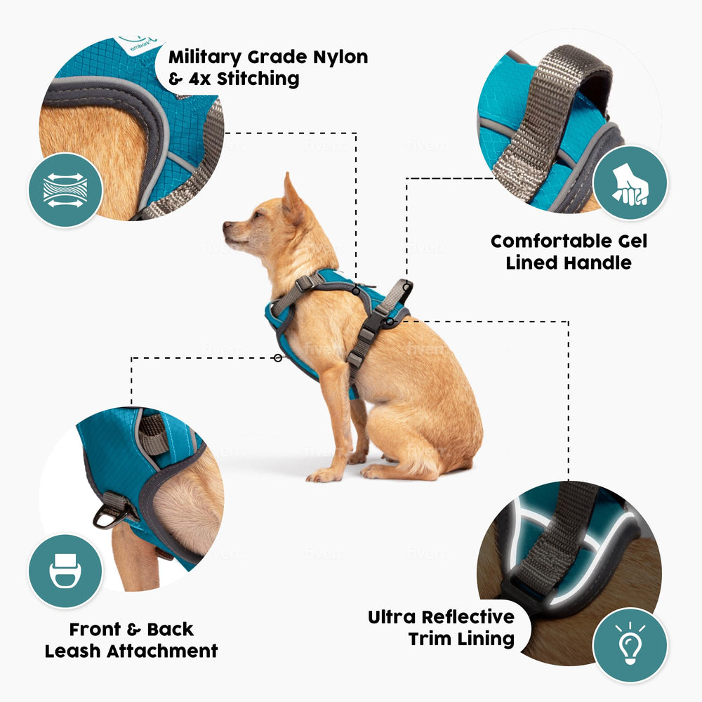 Embark harnais boucles et sangles résistantes pour sécurité accrue