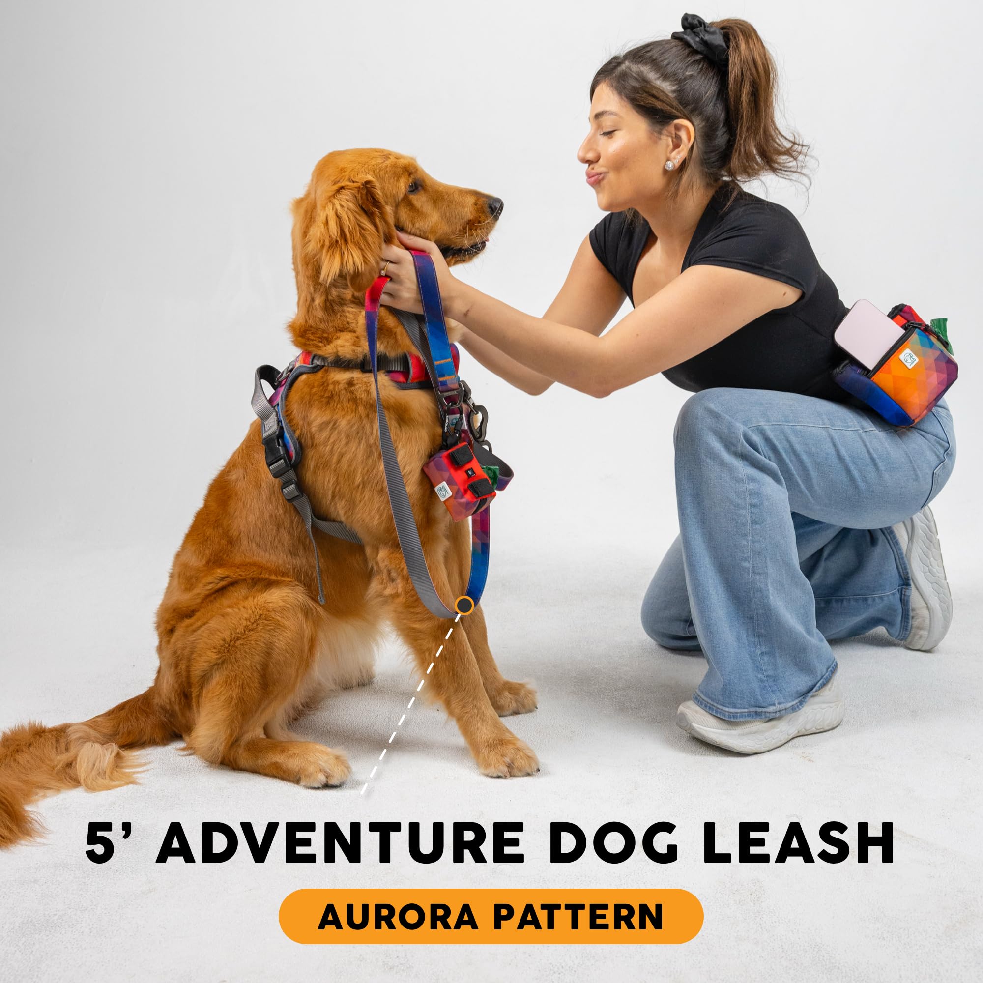 Embark Pets ensemble laisse et collier assortis style et performance