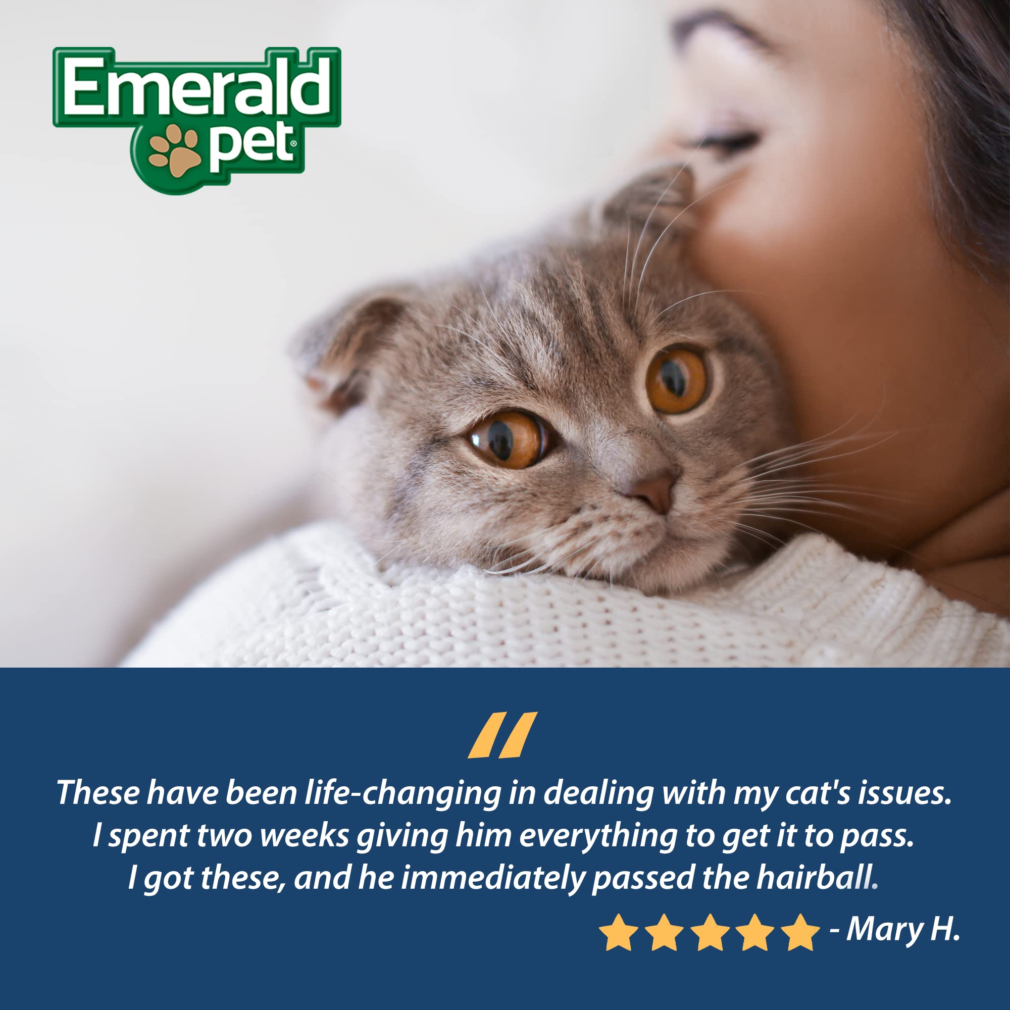 Emerald Pet chat mange une bouchée, améliore confort digestif et plaisir