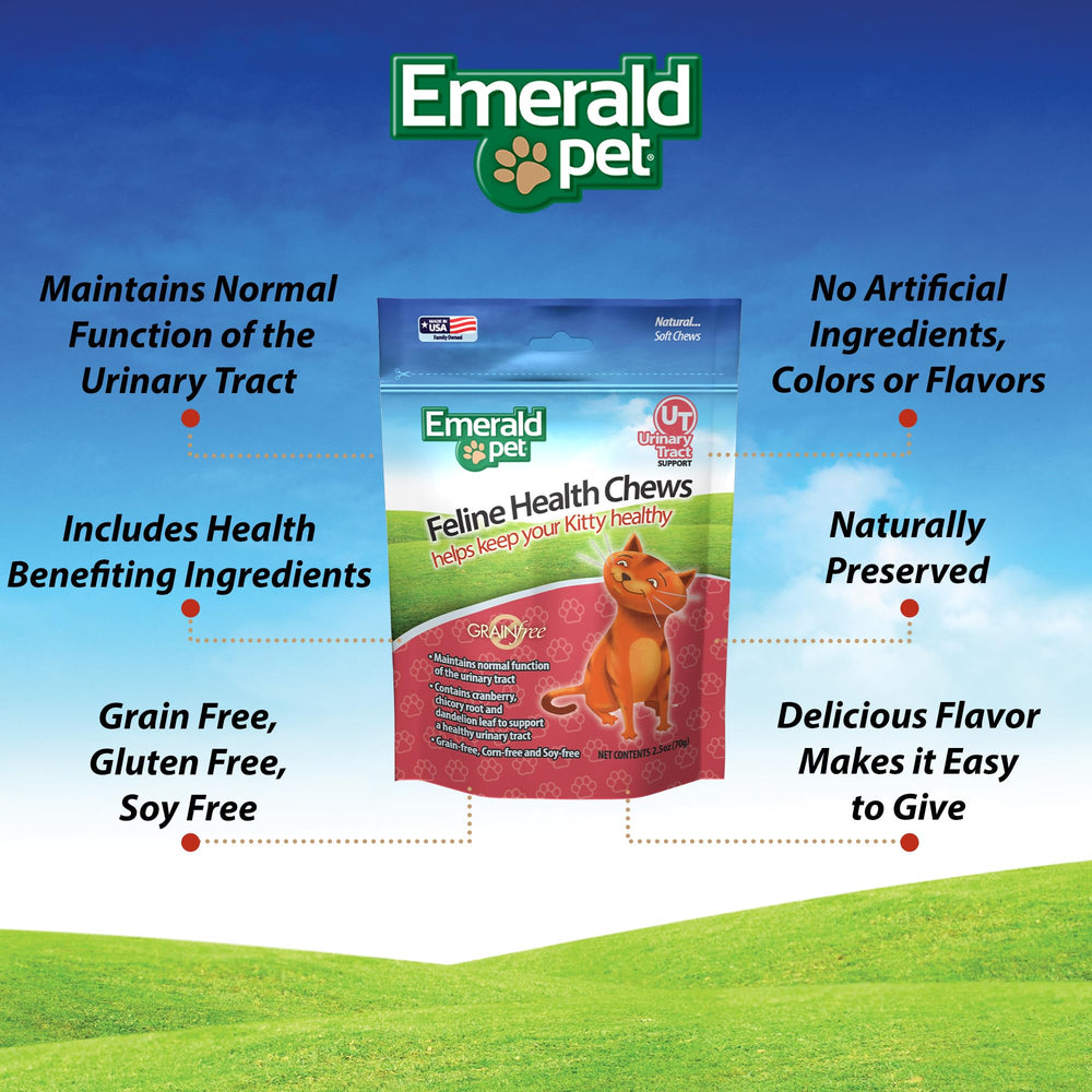 Emerald Pet chews en portion sur la main pour dosage pratique