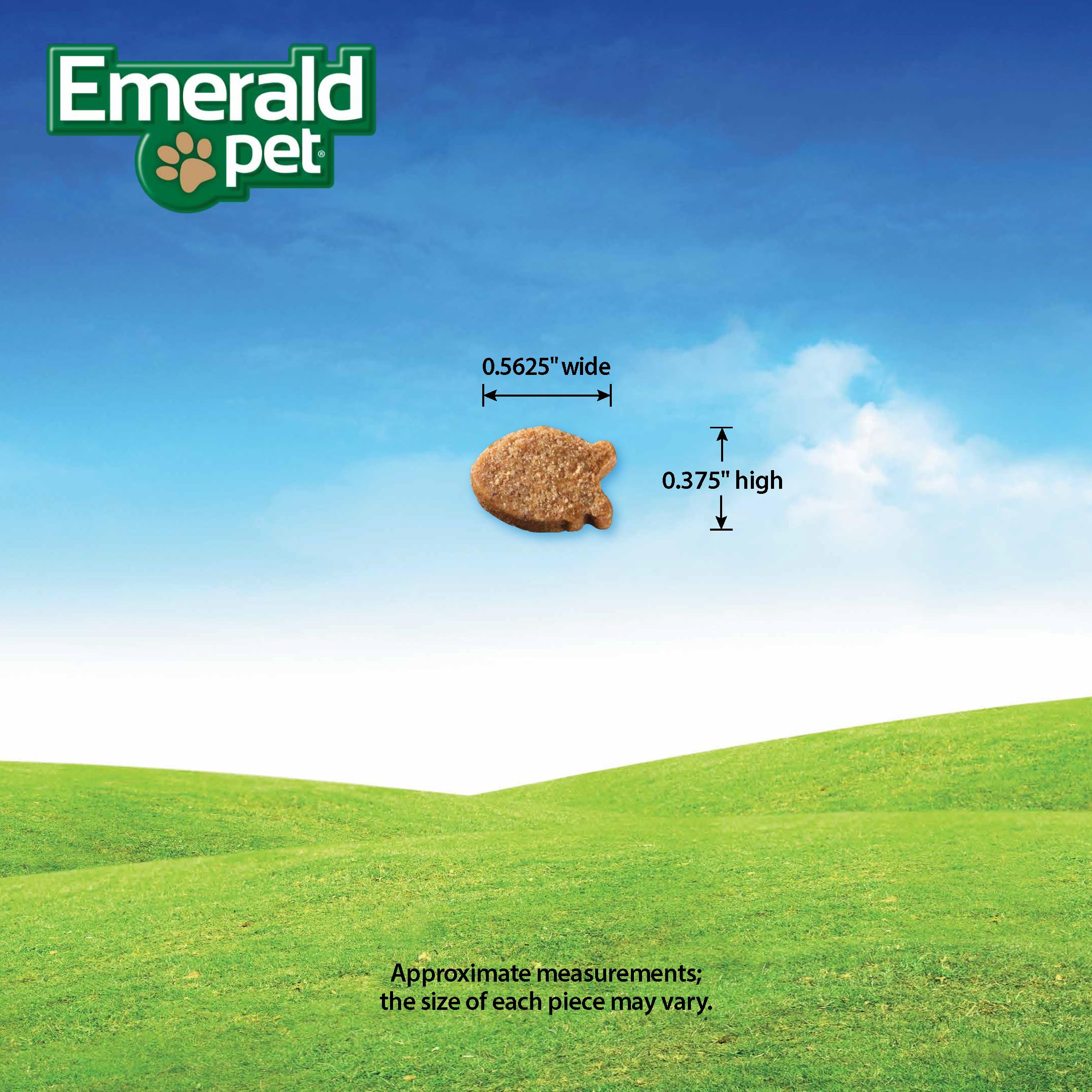 Emerald Pet mise en scène maison, intégration facile dans routine quotidienne