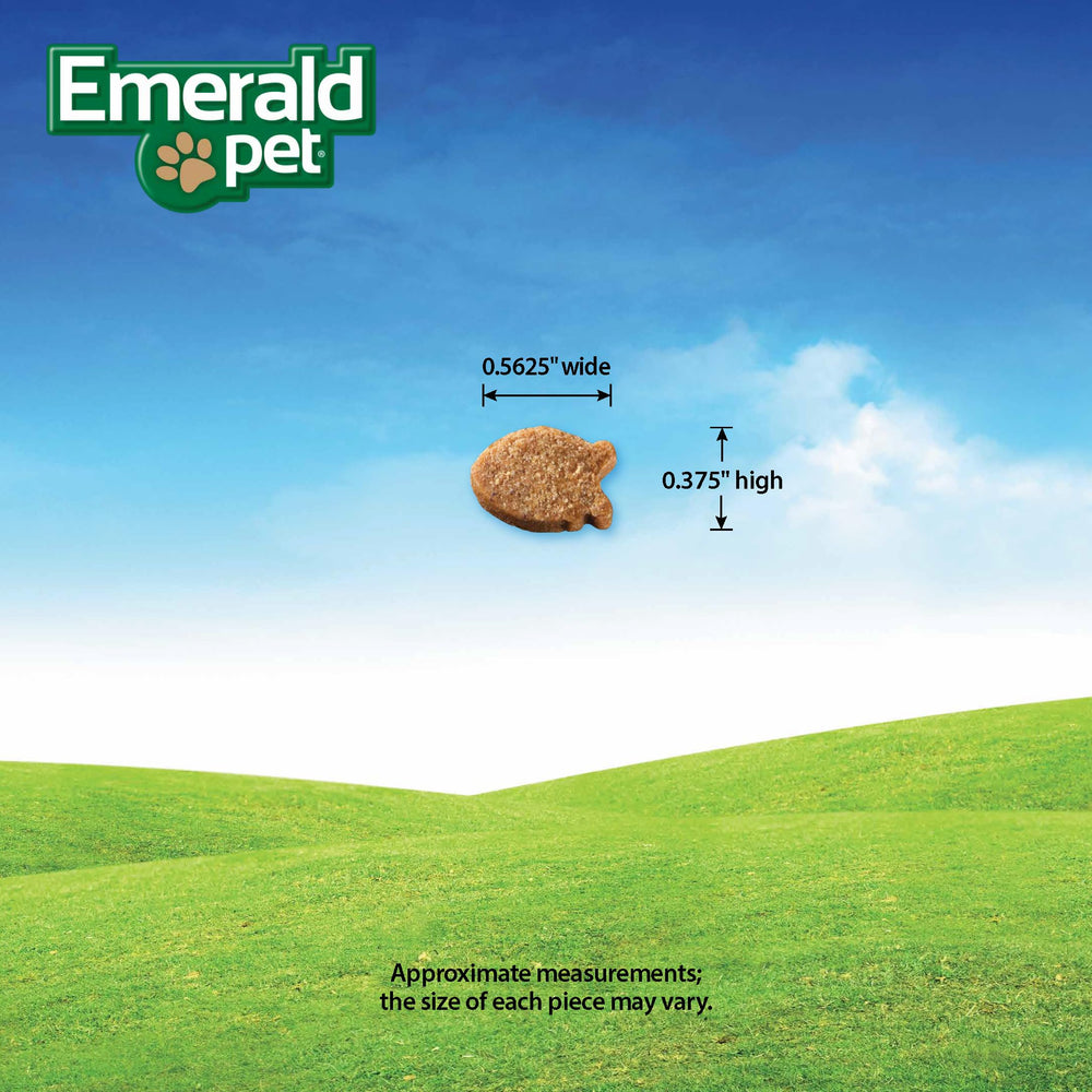 Emerald Pet mise en scène maison, intégration facile dans routine quotidienne