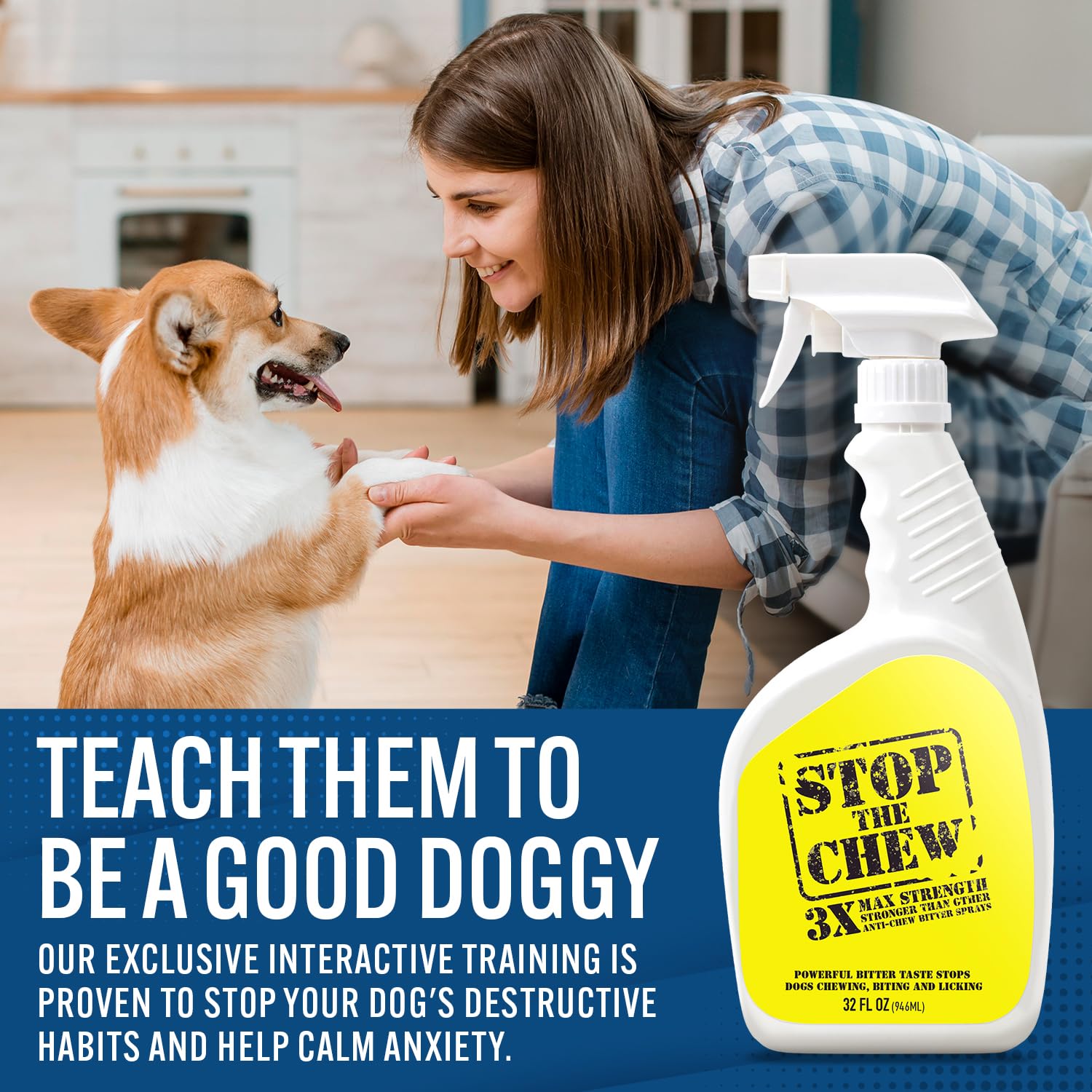 Emmy's Best chiot évitant chaussure après application pour apprentissage rapide