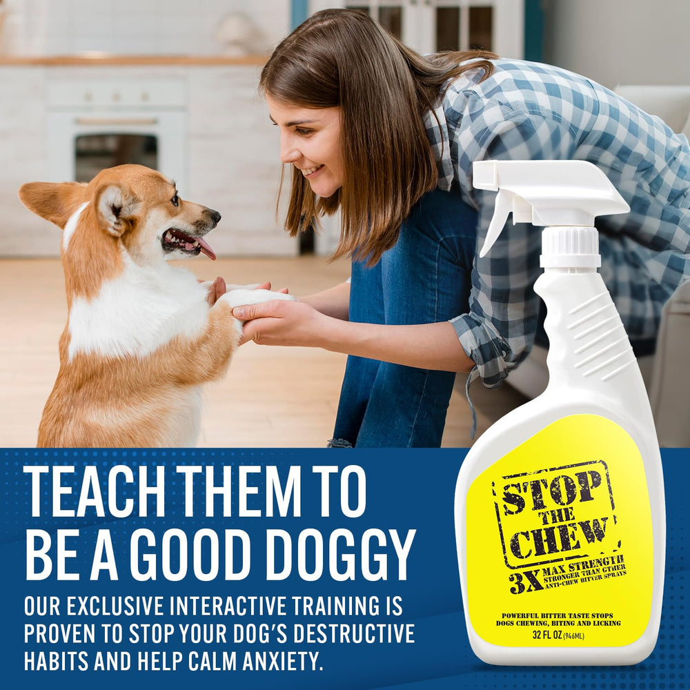 Emmy's Best chiot évitant chaussure après application pour apprentissage rapide