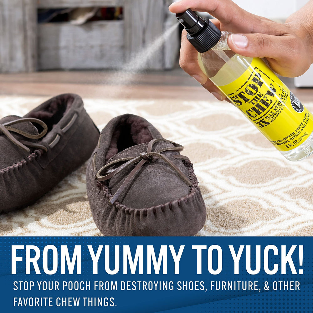 Emmy's Best spray appliqué sur chaussure pour protection des souliers