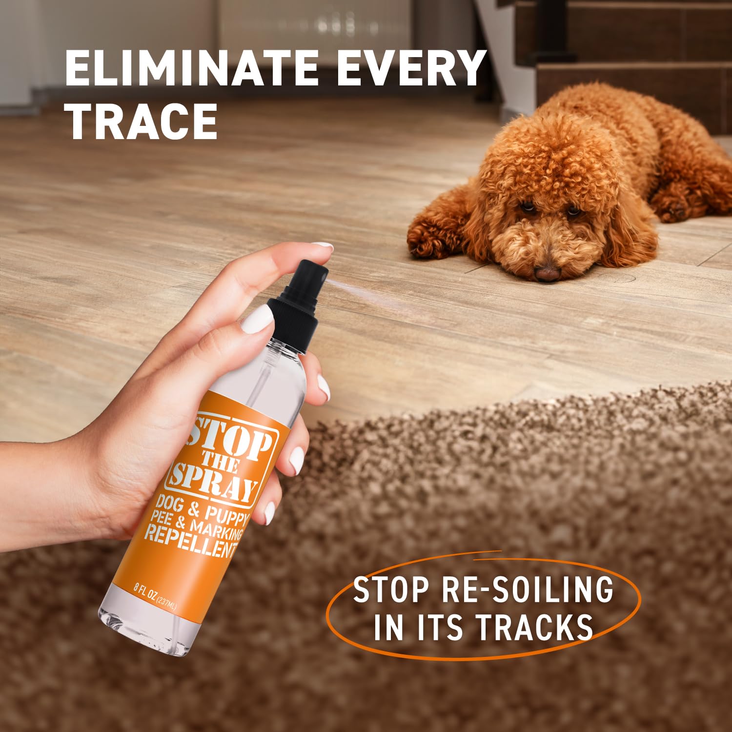 Emmy's Best étiquette Stop the Spray avec instructions claires et ingrédients naturels