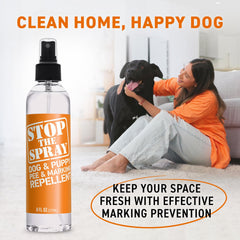 Emmy's Best tête du vaporisateur Stop the Spray, pulvérisation précise pour usage ciblé