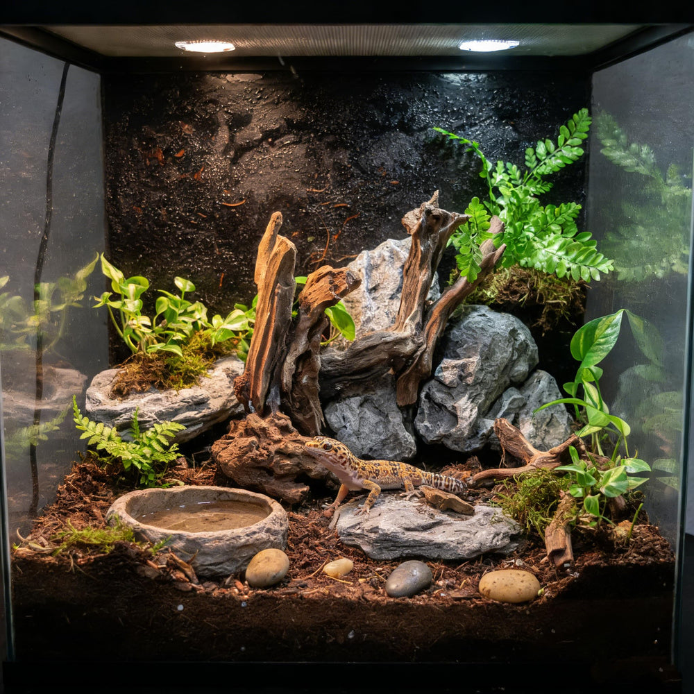 emours bois immergé en aquarium offrant abri et point focal décoratif