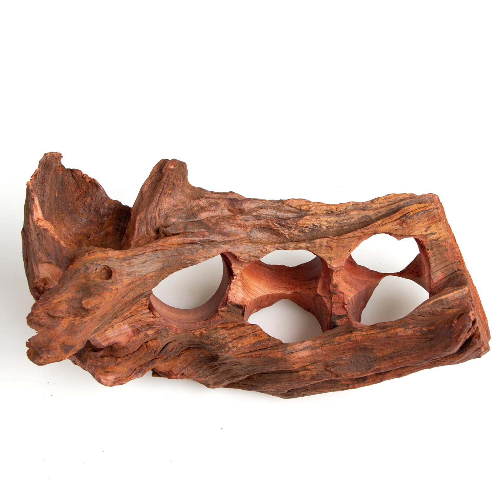 emours bois flotté en terrarium décor naturel stable pour reptiles