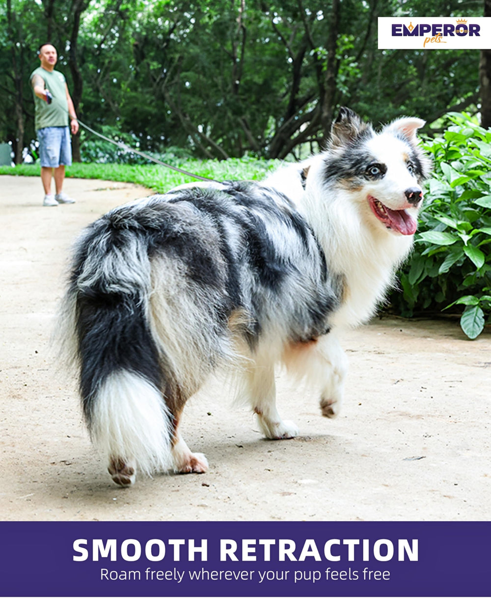 EMPEROR PETS comparaison d'échelle montre longueur 8 m et gestion pratique