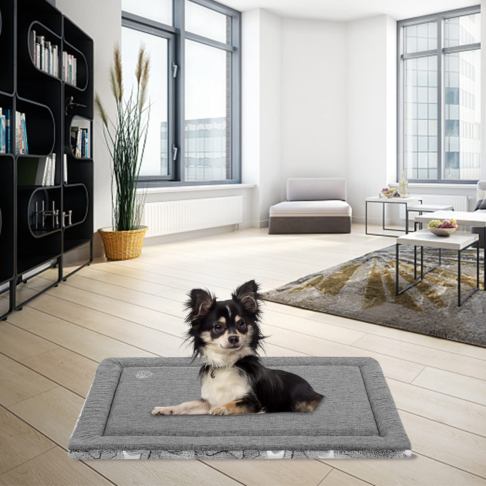 EMPSIGN chien allongé sur le tapis montrant confort apaisant