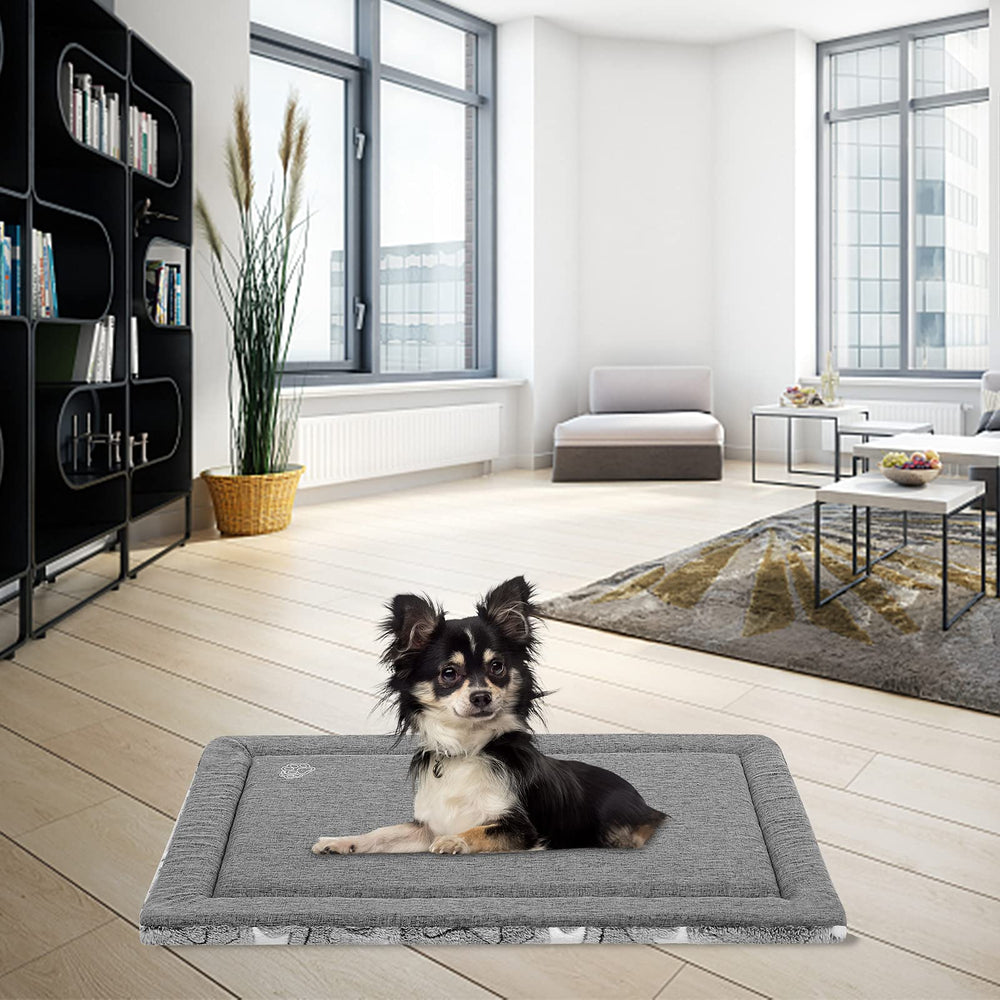 EMPSIGN chien allongé sur le tapis montrant confort apaisant