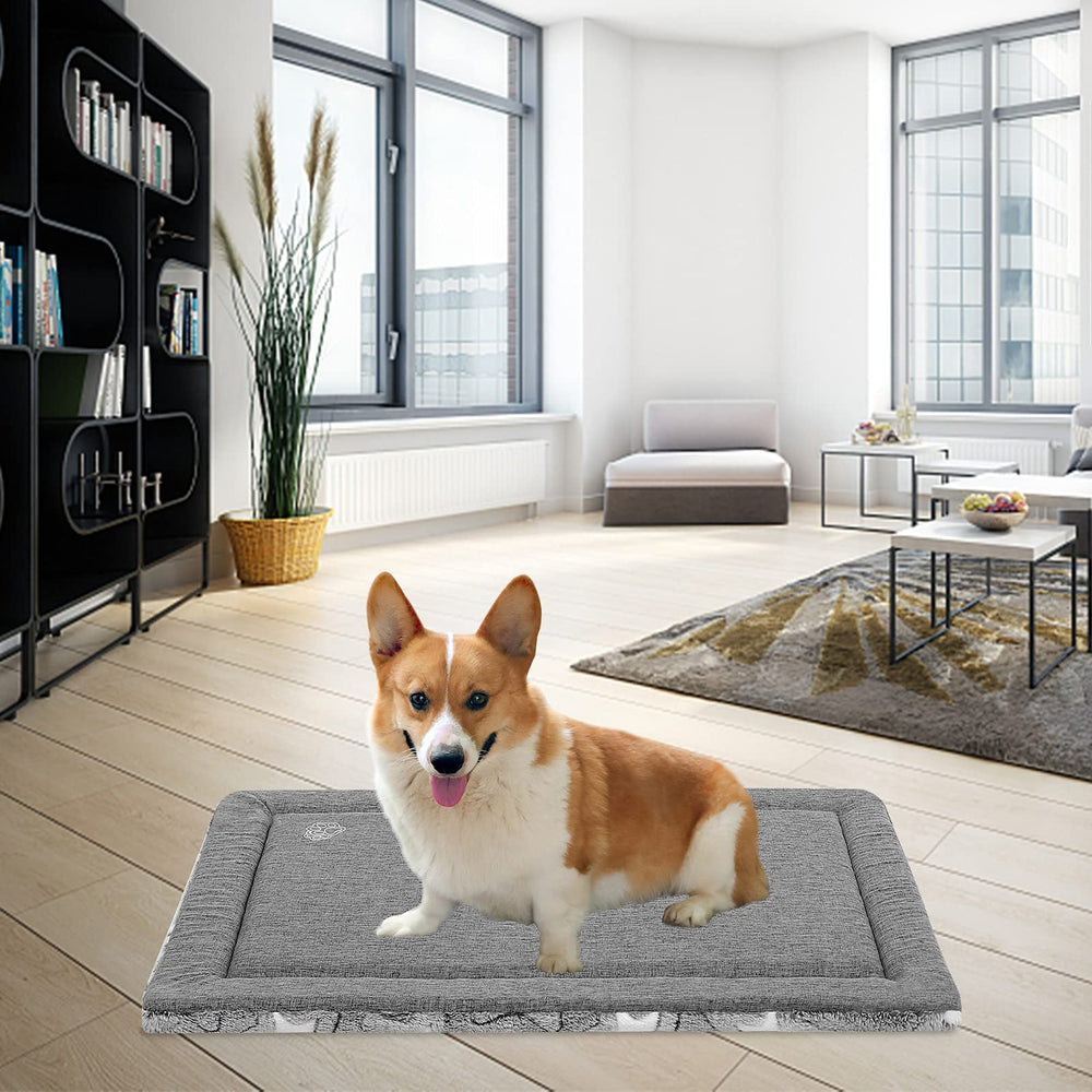 EMPSIGN coussin montré avec chien pour vérifier l'ajustement