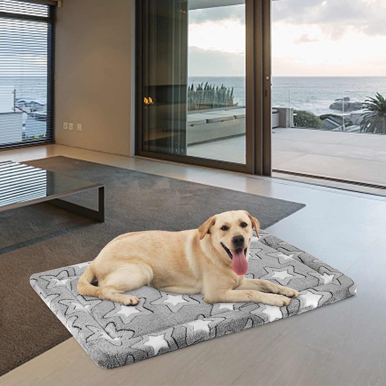 EMPSIGN coussin installé dans une cage 42x28 pour ajustement parfait