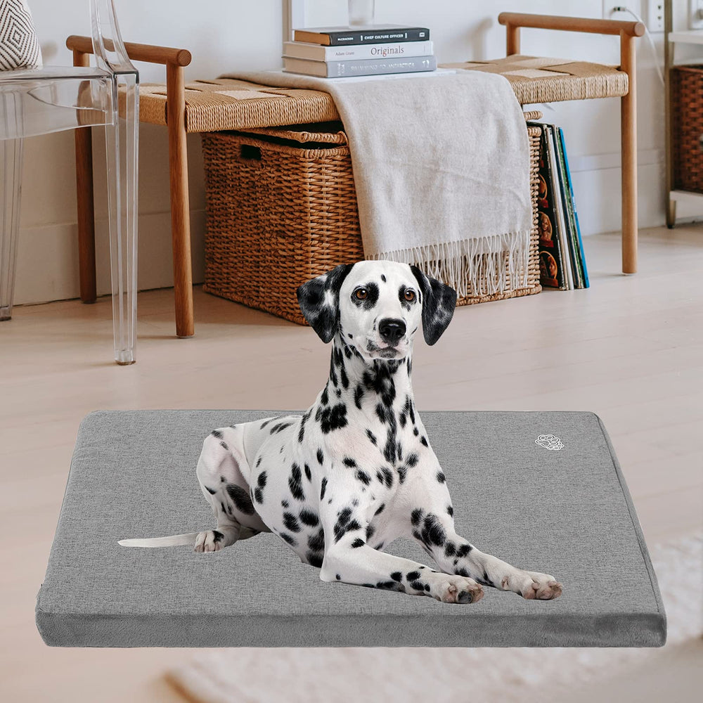 EMPSIGN matelas en salon avec chien détendu, confort et intégration déco