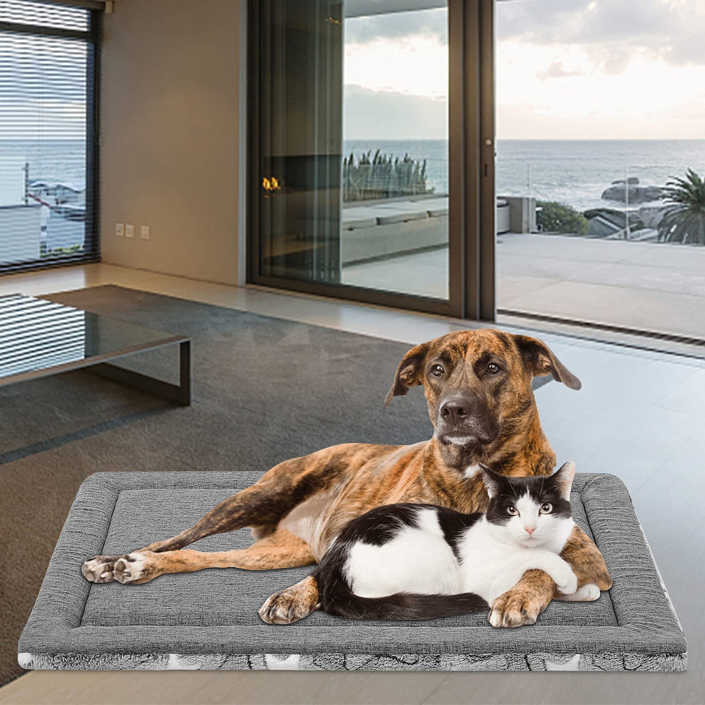 EMPSIGN tapis à côté d'un grand chien pour comparaison de taille