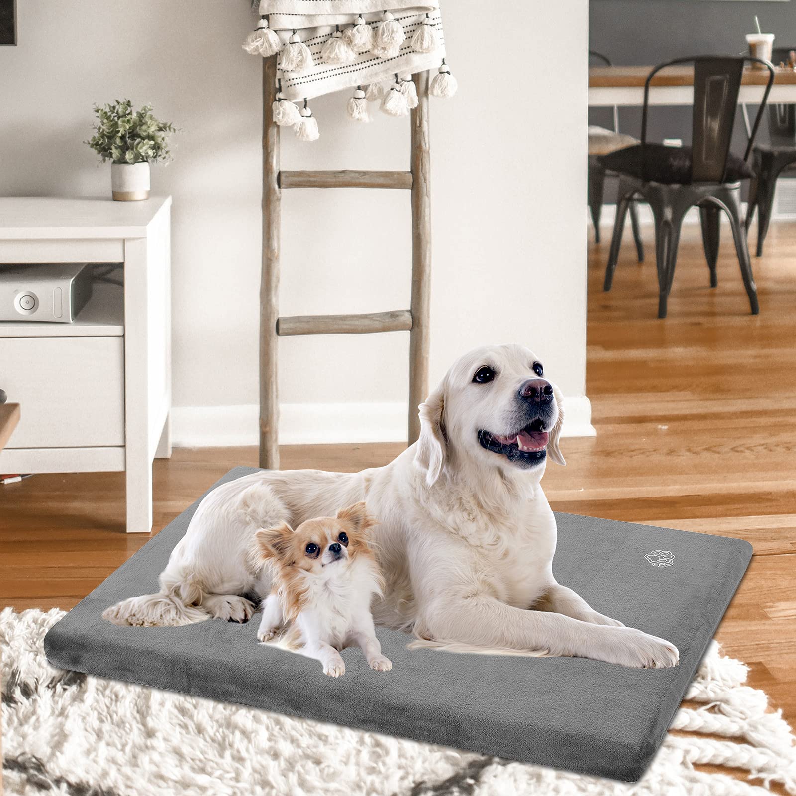 EMPSIGN chien allongé sur tapis illustrant confort quotidien
