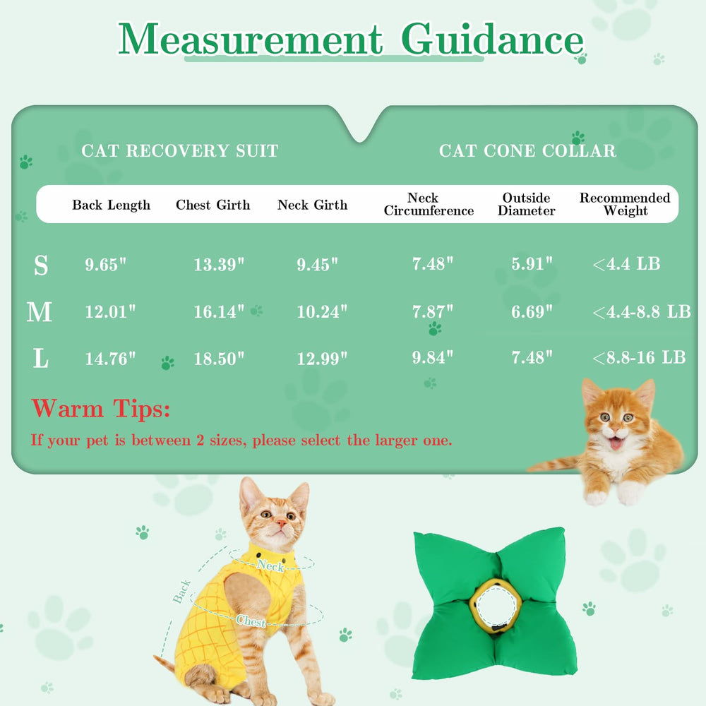 EMUST chaton porte la tenue lors d'une promenade calme et protégée