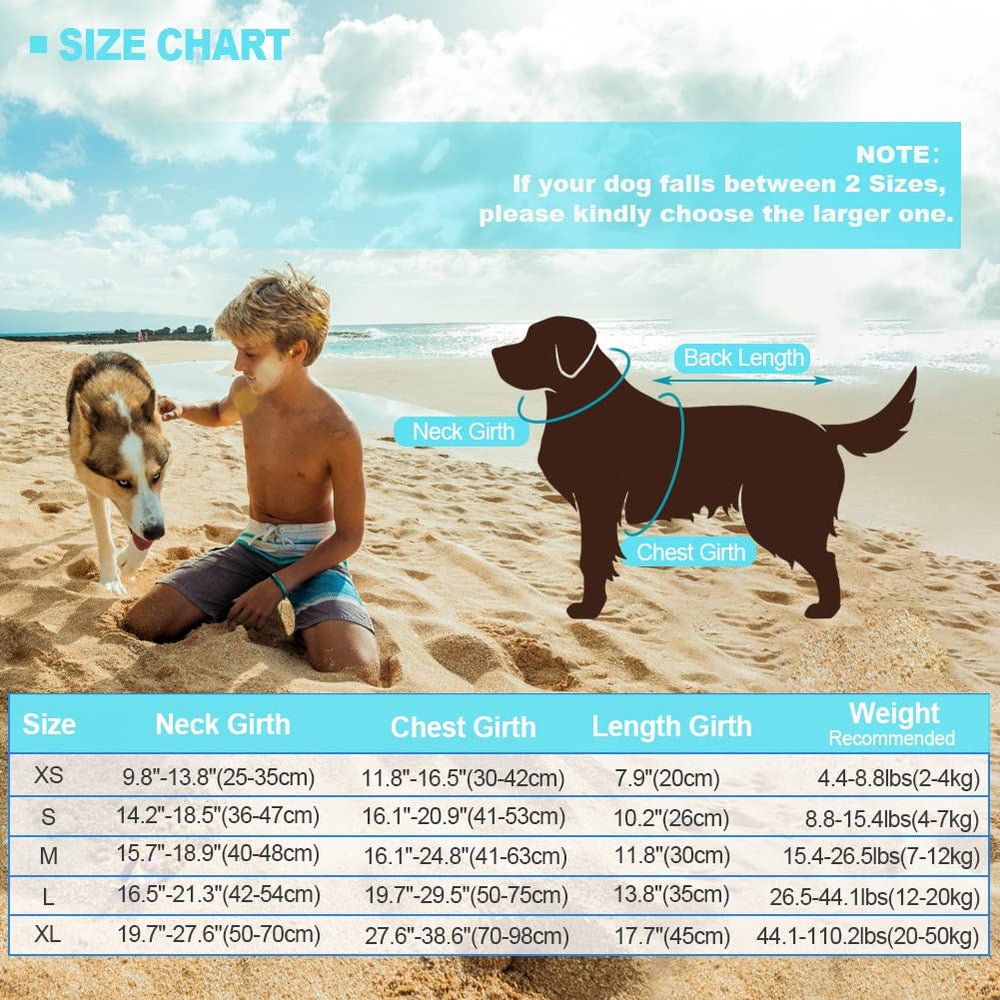 EMUST comparaison de tailles montrant la coupe L sur un chien pour ajustement précis