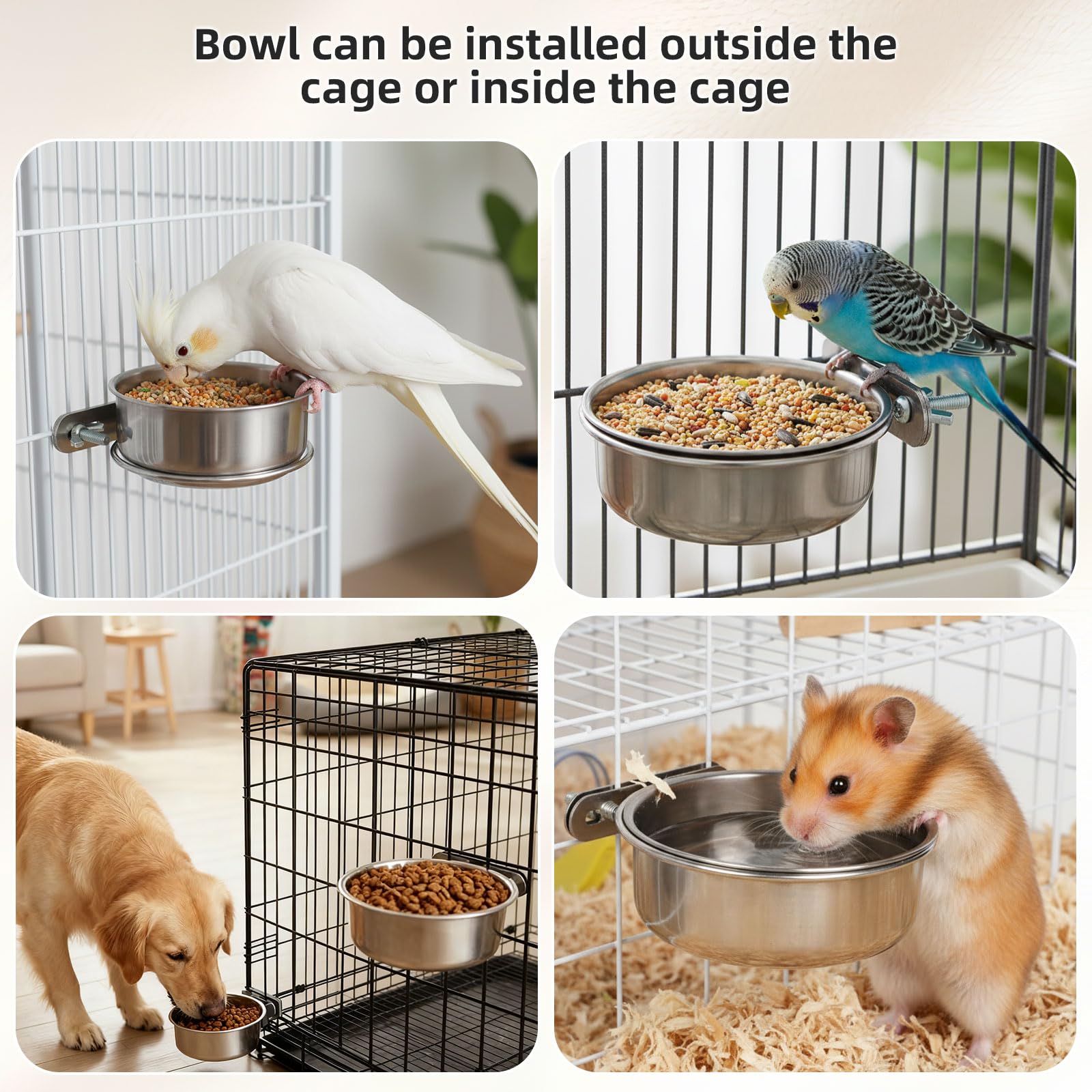 EMUTOL petit bol intérieur montrant capacité pour croquettes et friandises