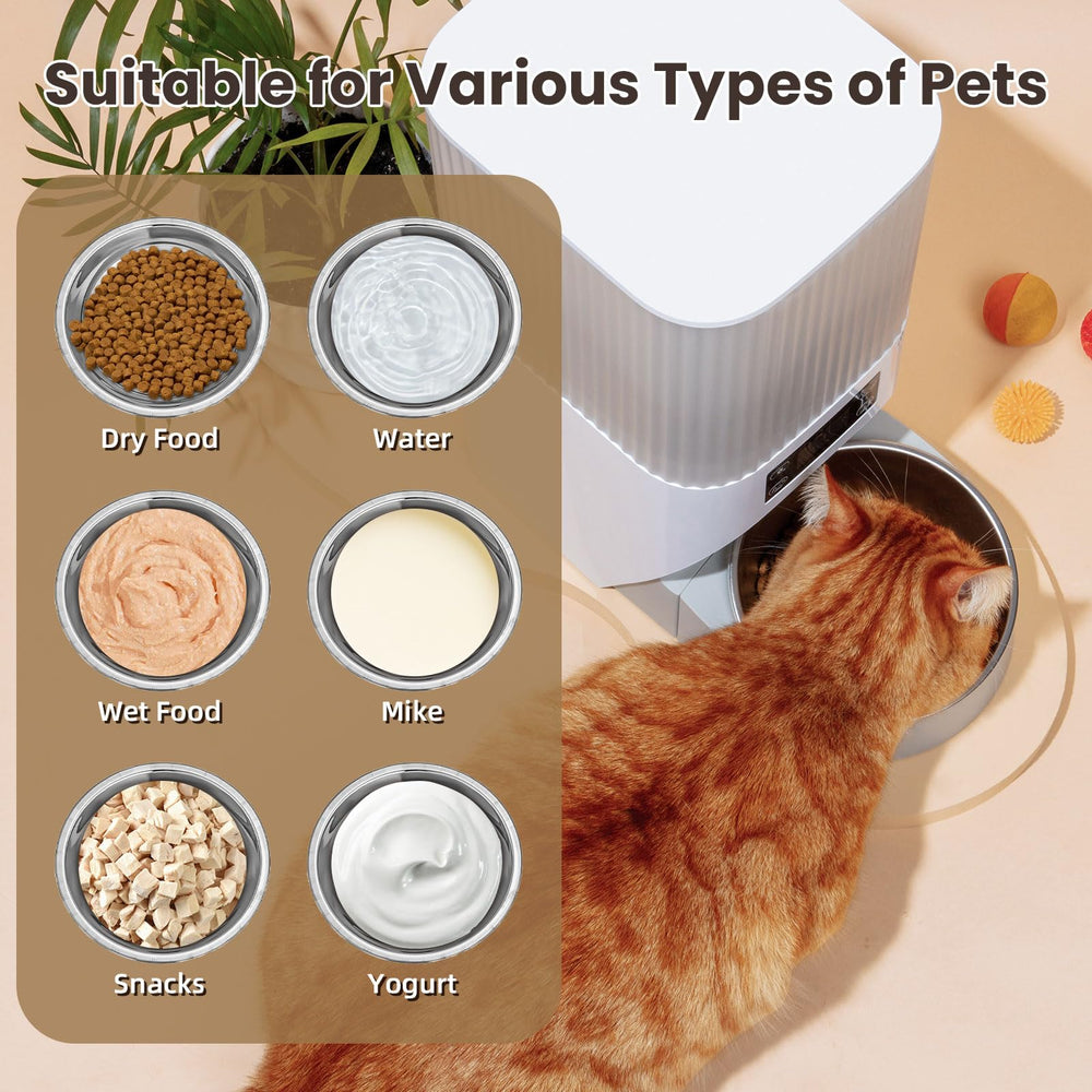 EMUTOL bol taille comparaison avec main adéquat pour chats