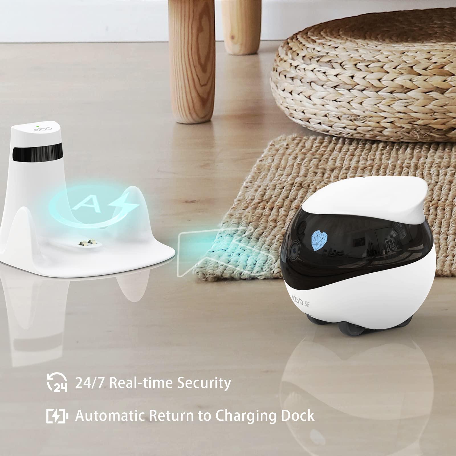Enabot EBO SE proche d'un animal pour interaction et réassurance
