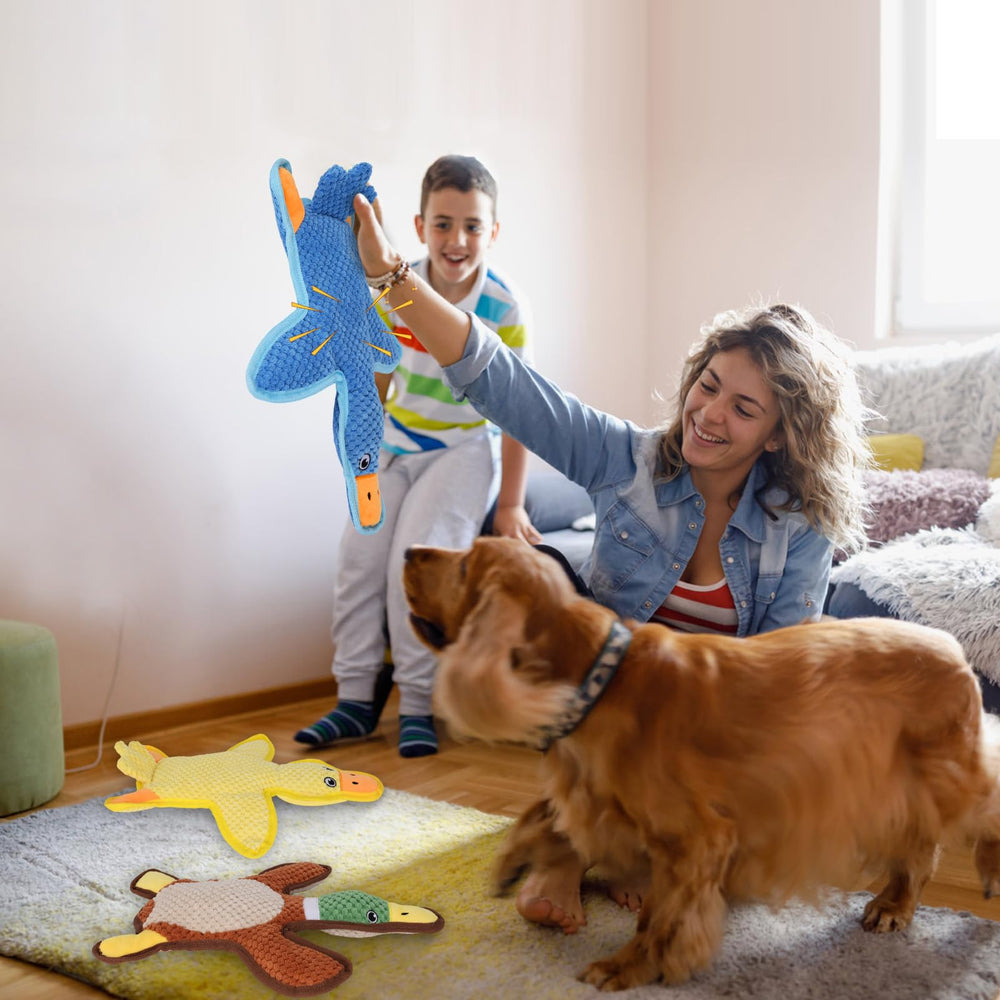 Eneston canard trio couleurs vives pour variété et excitation
