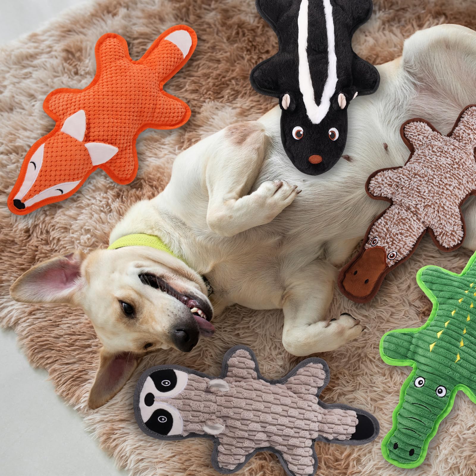 Eneston ensemble animalier sur canapé, joli cadeau photo pour propriétaire