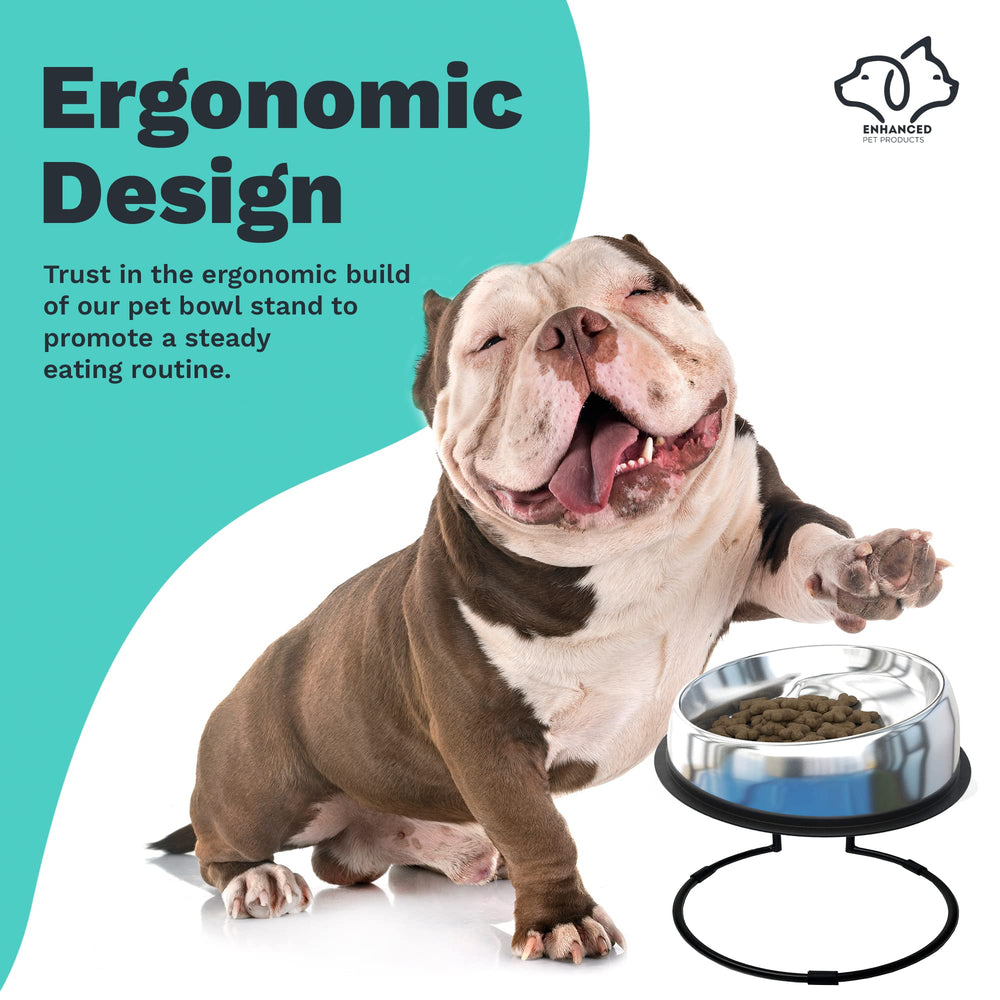 Enhanced Pet Products lifestyle en cuisine réduisant désordre pendant repas
