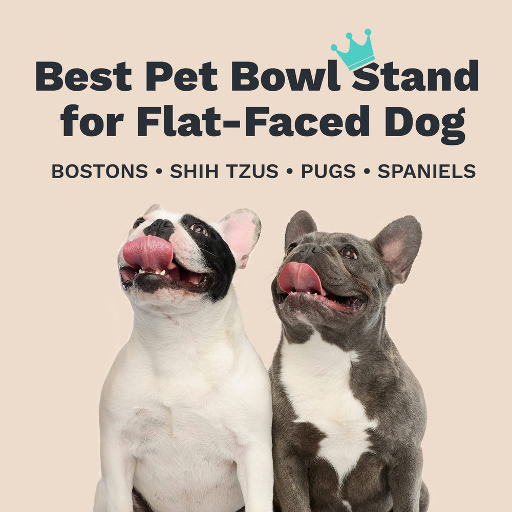 Enhanced Pet Products support facile à nettoyer à la main rapidement