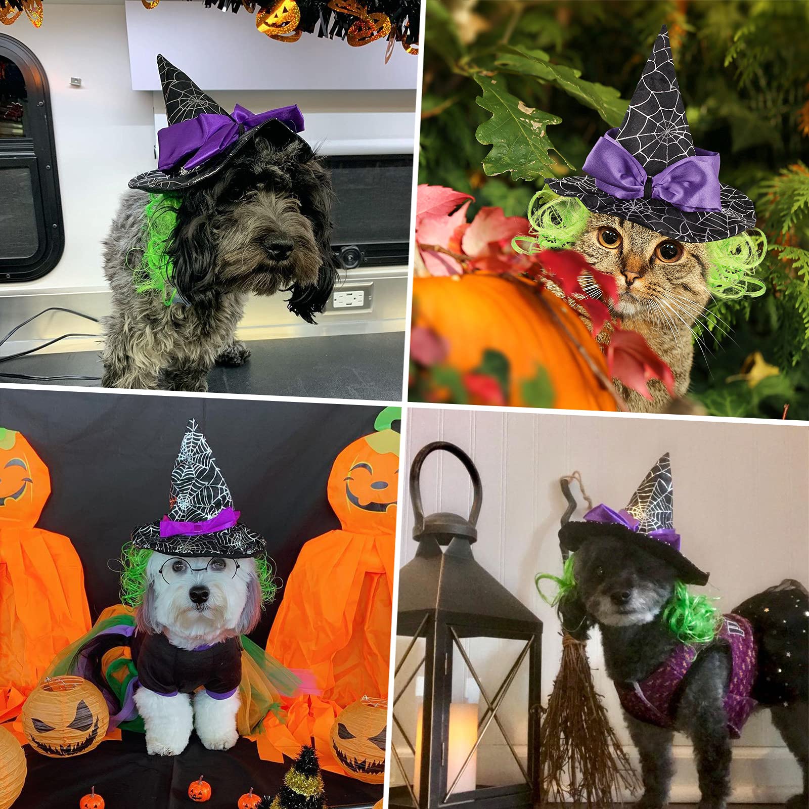 Enjoying chapeau scène Halloween animal déguisé attractif pour photos