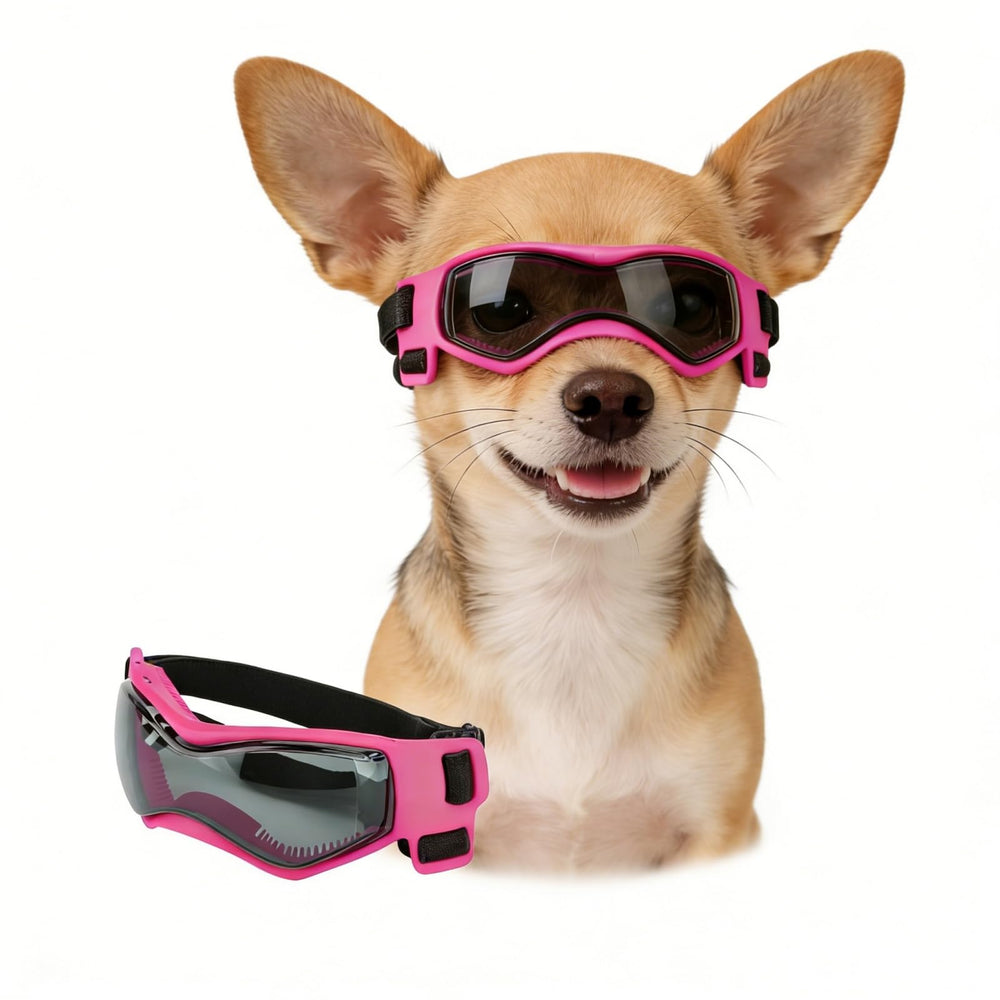 Enjoying lunettes face avant montrant protection complète pour yeux