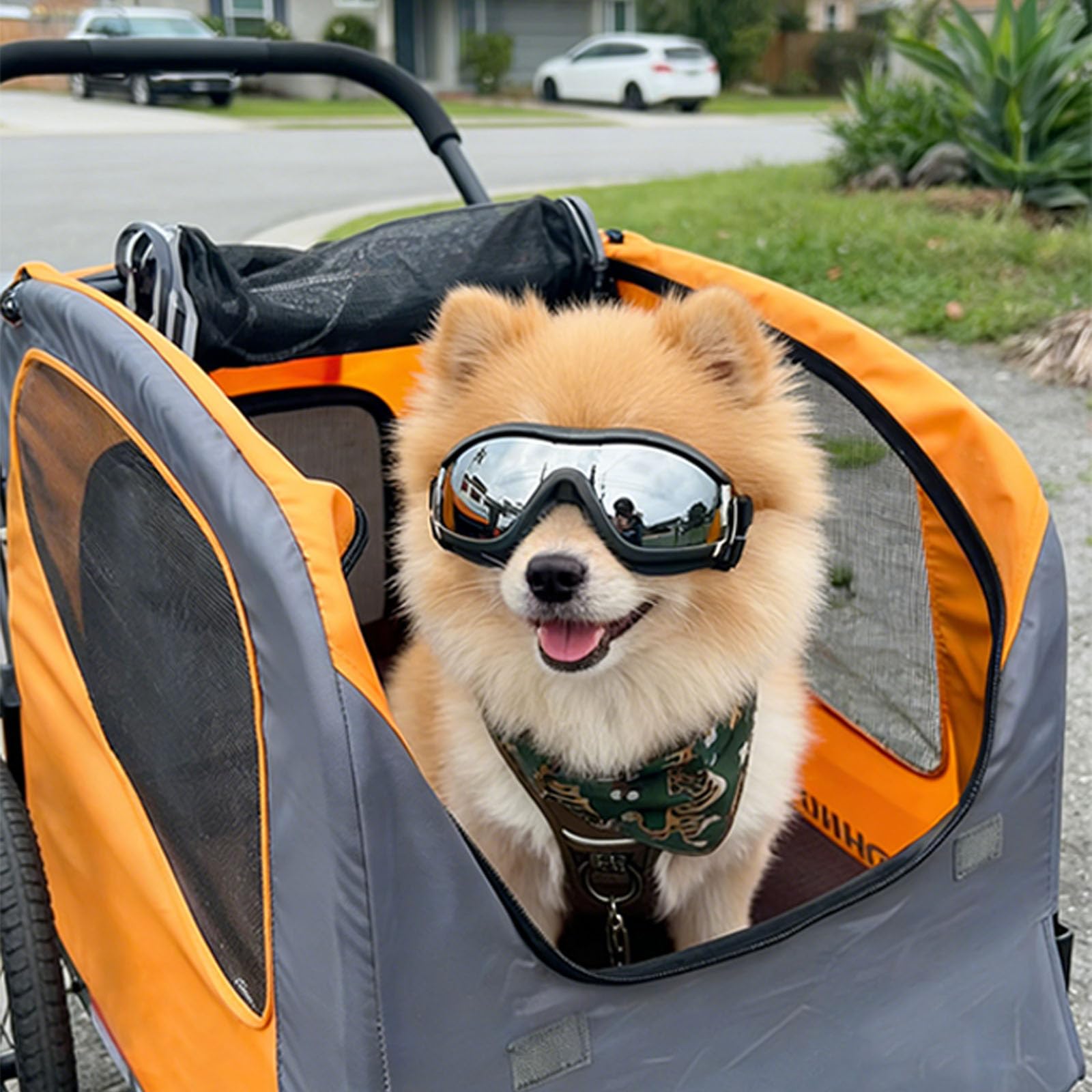 Enjoying lunettes emballage avec sangles ajustables, prêt à l'emploi