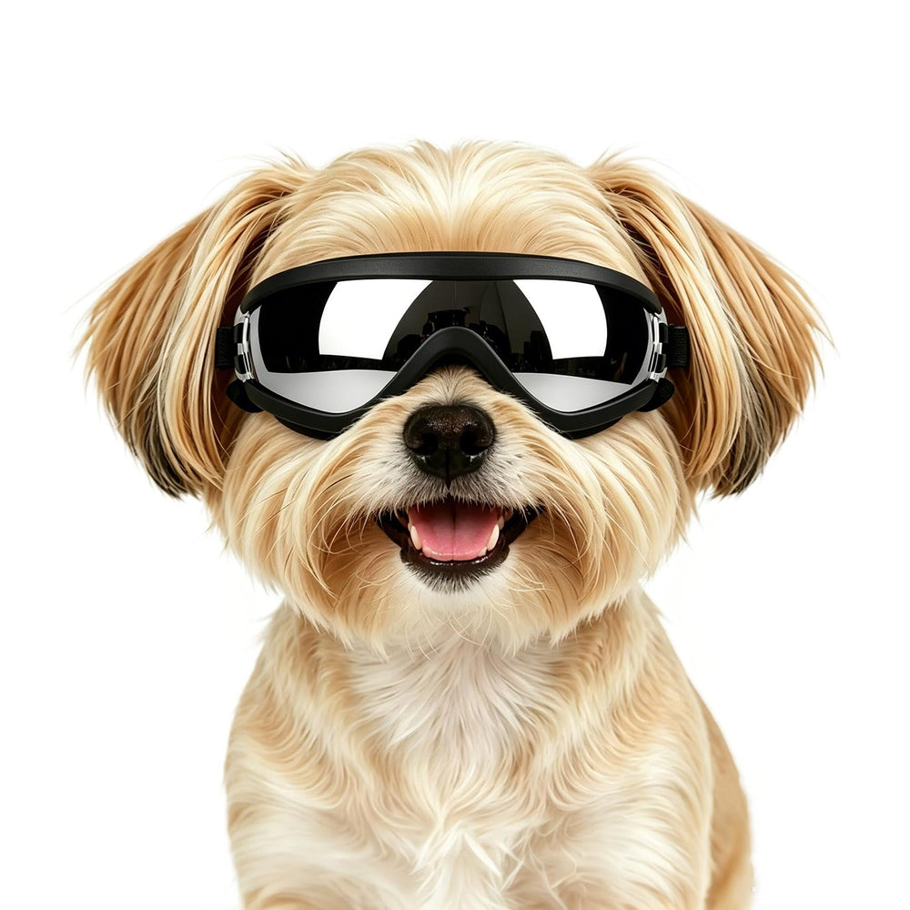 Enjoying lunettes pour petits chiens vue avant, protection complète