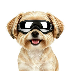 Enjoying lunettes pour petits chiens vue avant, protection complète