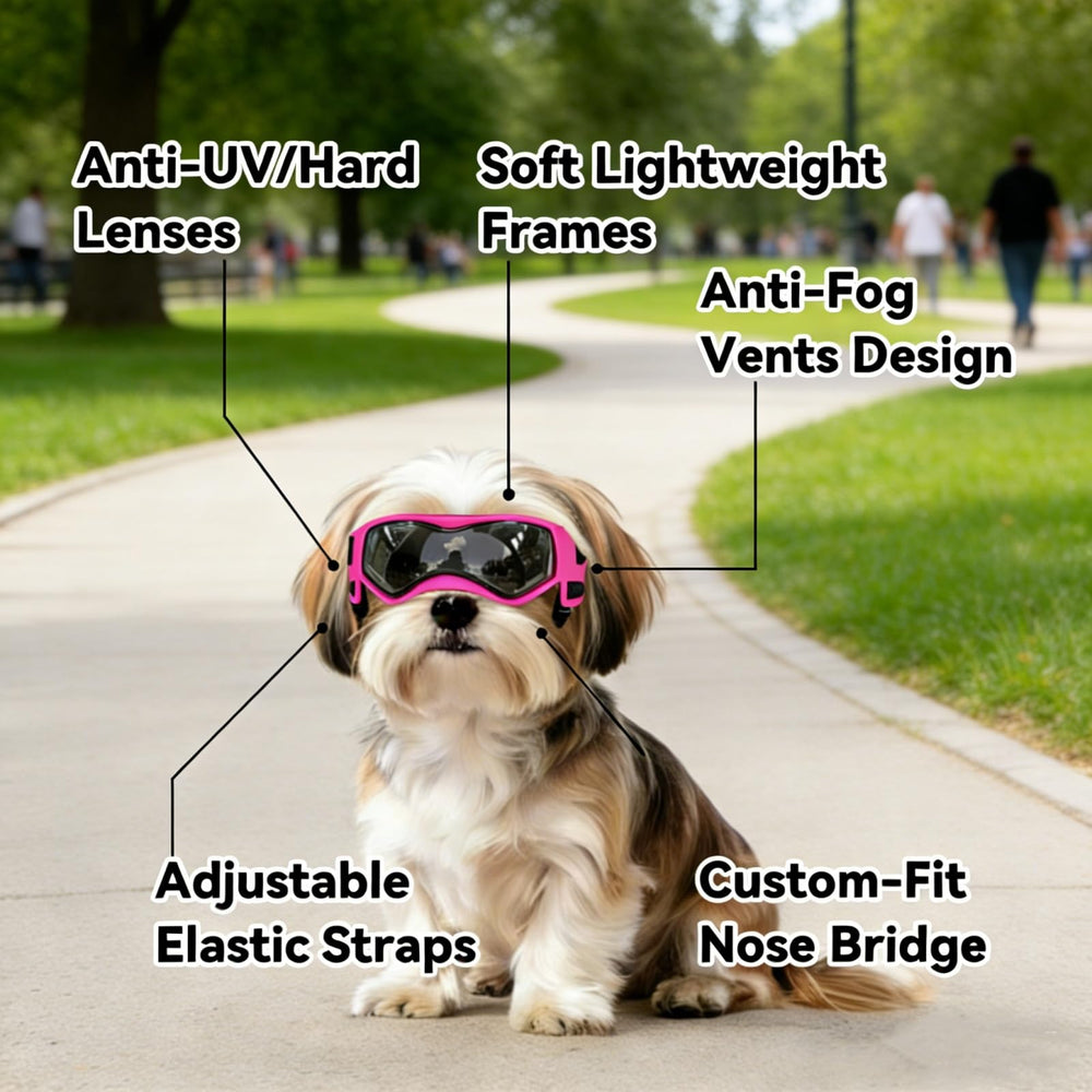 Enjoying profil porté par petit chien garantissant tenue stable