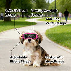 Enjoying profil porté par petit chien garantissant tenue stable