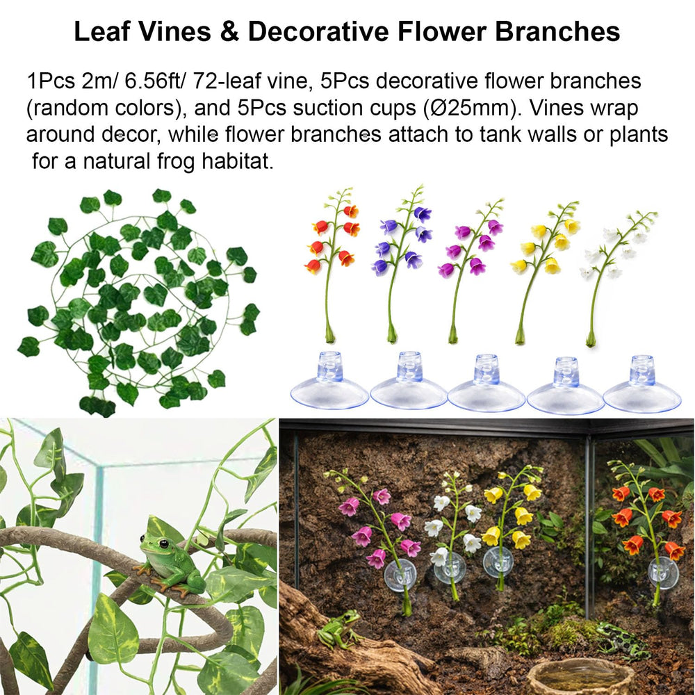 Enochainchin ventouses variées pour fixation stable sans perçage