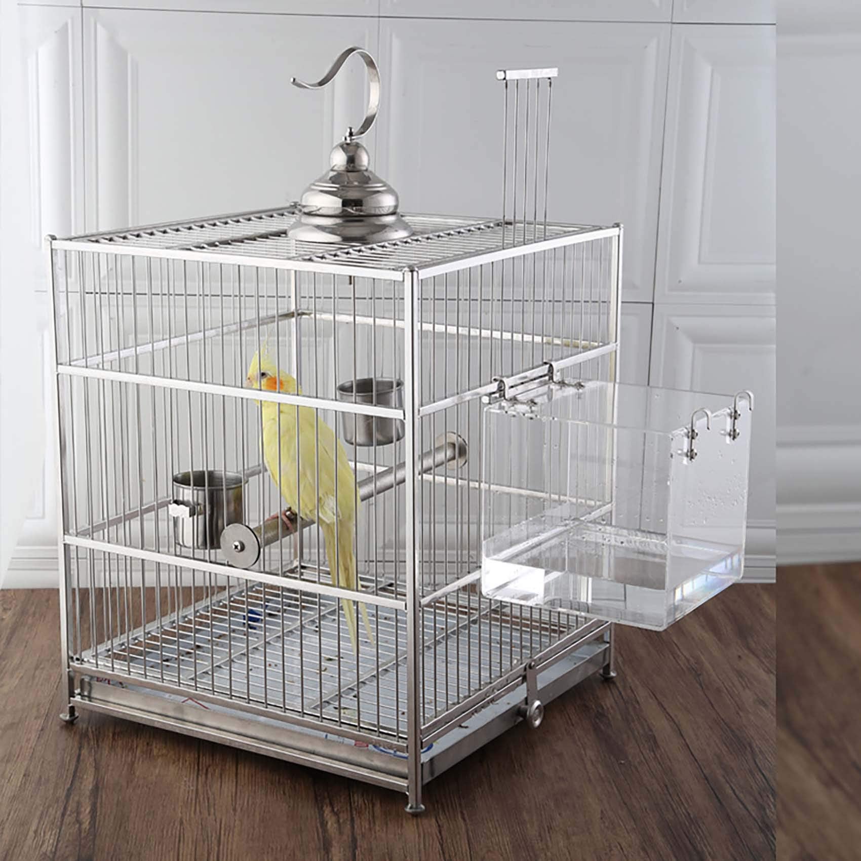 EnoYoo comparaison taille montrant dimensions adaptées aux petites perruches